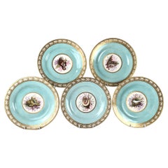 Antique Hand Painted Shell Decorated Worcester Plates Set of 5 Flight Barr Barr C-1820
