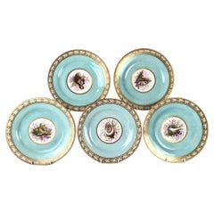 Ensemble de 5 assiettes Worcester décorées de coquillages peintes à la main Flight Barr C-1820