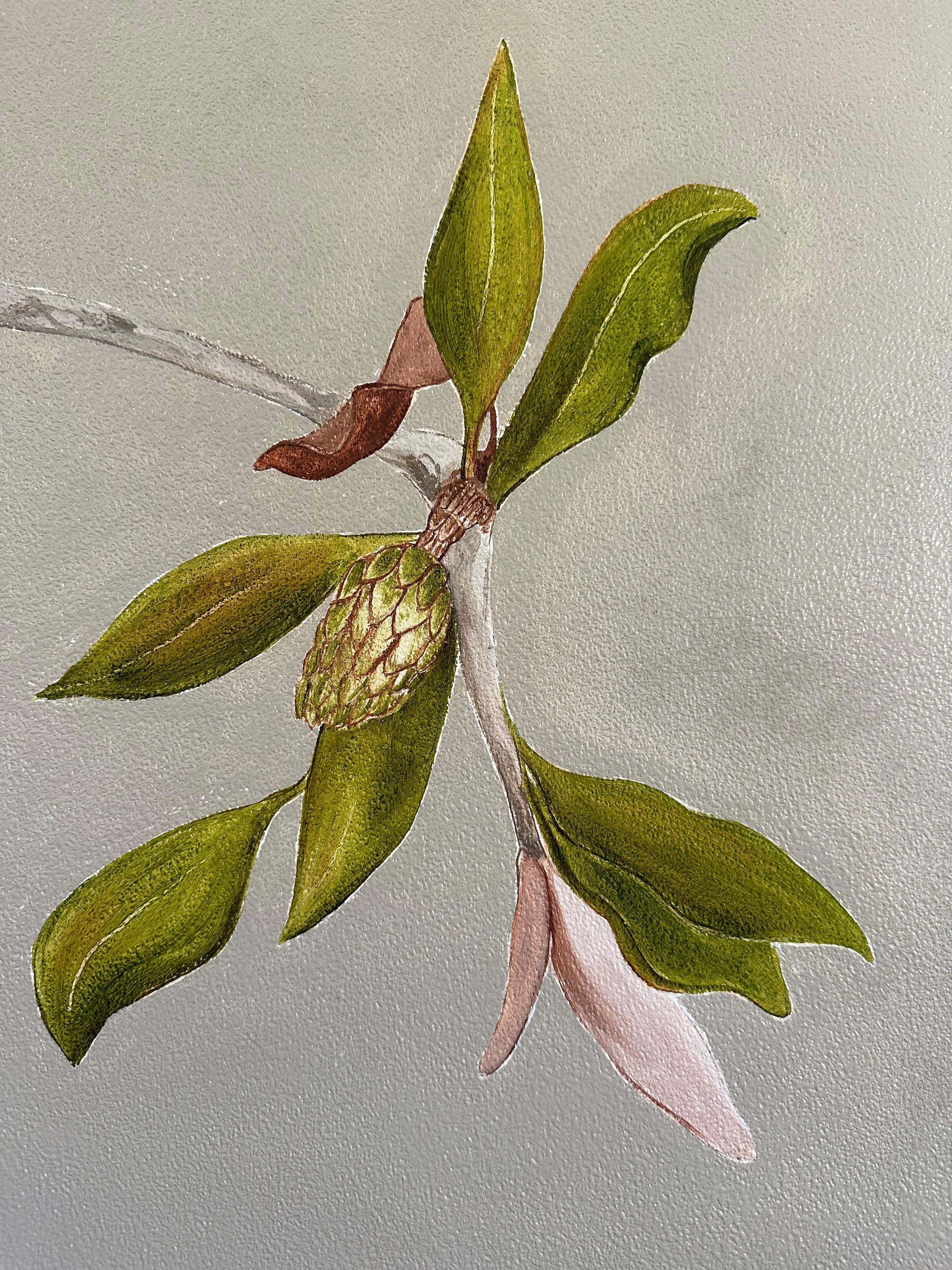 Cineserie Carta da parati dipinta a mano Beige Magnolia Botanical di Ocre Designs by Tarn McLean in vendita