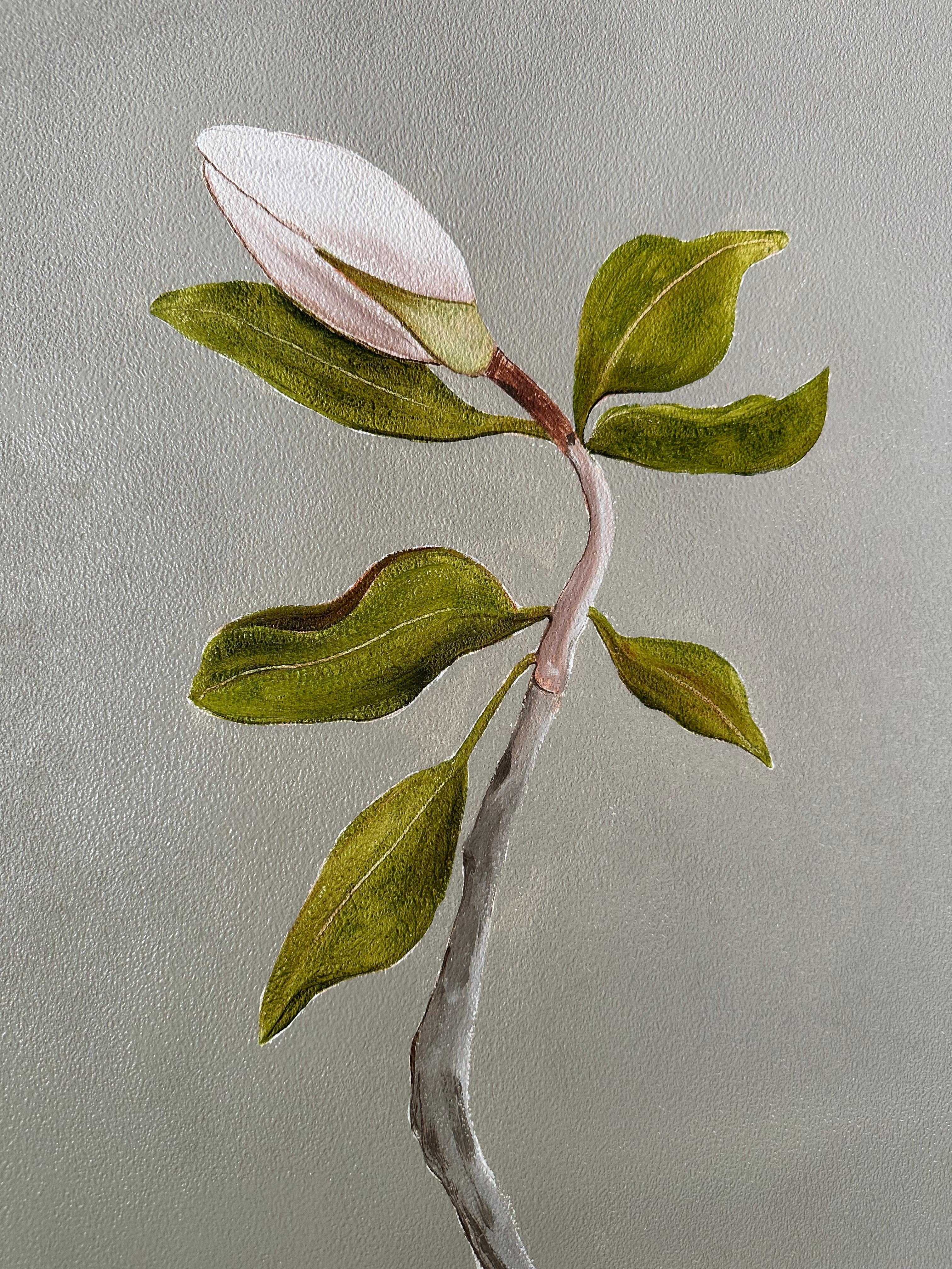 Dipinto a mano Carta da parati dipinta a mano Beige Magnolia Botanical di Ocre Designs by Tarn McLean in vendita