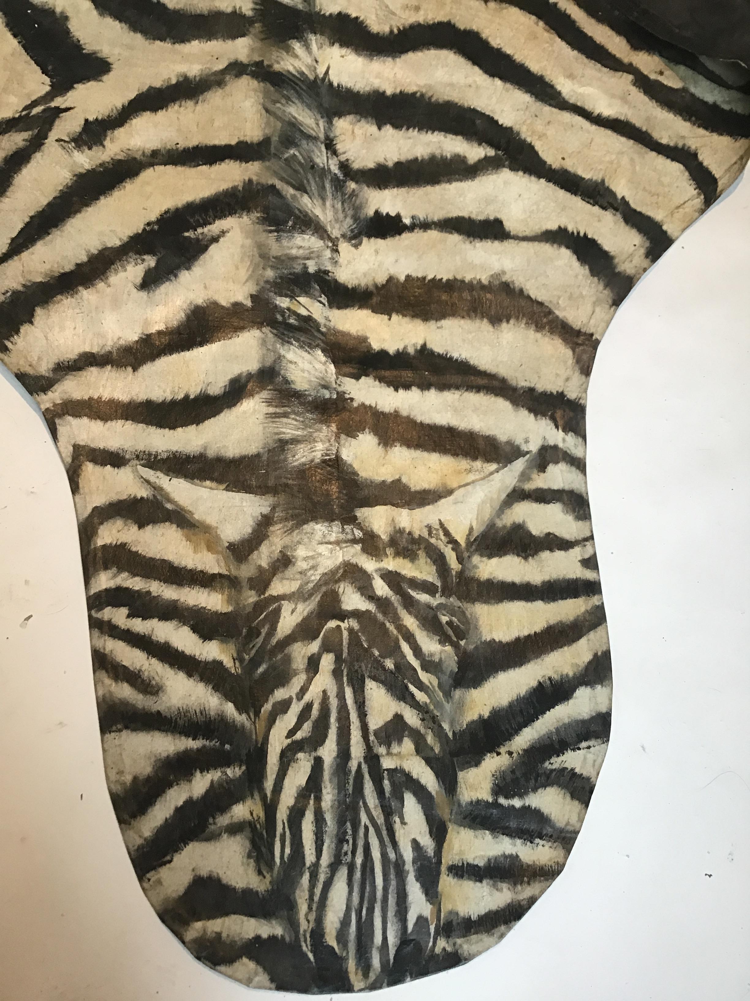 Handbemalter Zebra-Teppich im Angebot 3