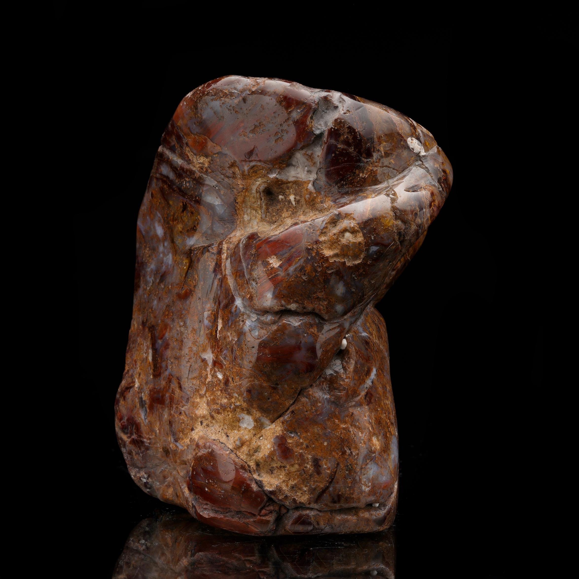 Pietersite is prized for its incredible chatoyancy and this specimen makes no exception. Hand-polished out of one solid piece of the rare mineral from a single location in Namibia, this flowing freeform streaked with lush reds, browns, and caramels