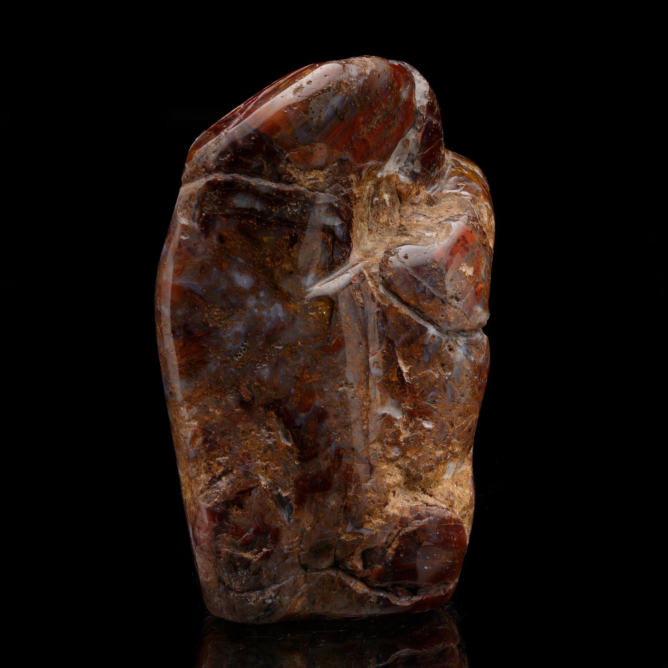 Hand-Polished Pietersite Freeform I In New Condition For Sale In New York, NY