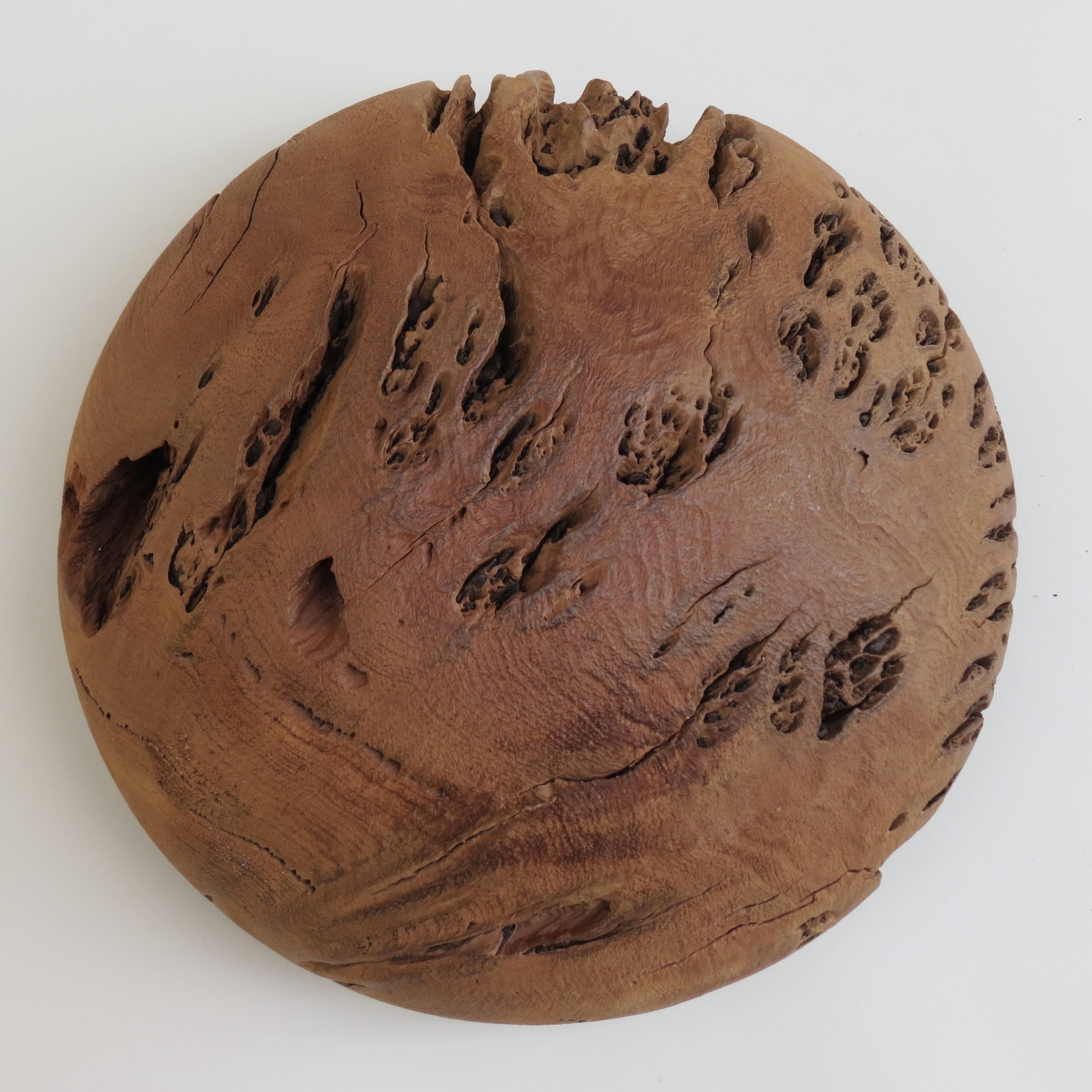 Hand Produced Tasmanian Burr Oak Wooden Bowl by Mike Scott 'Chai', 1990s 1