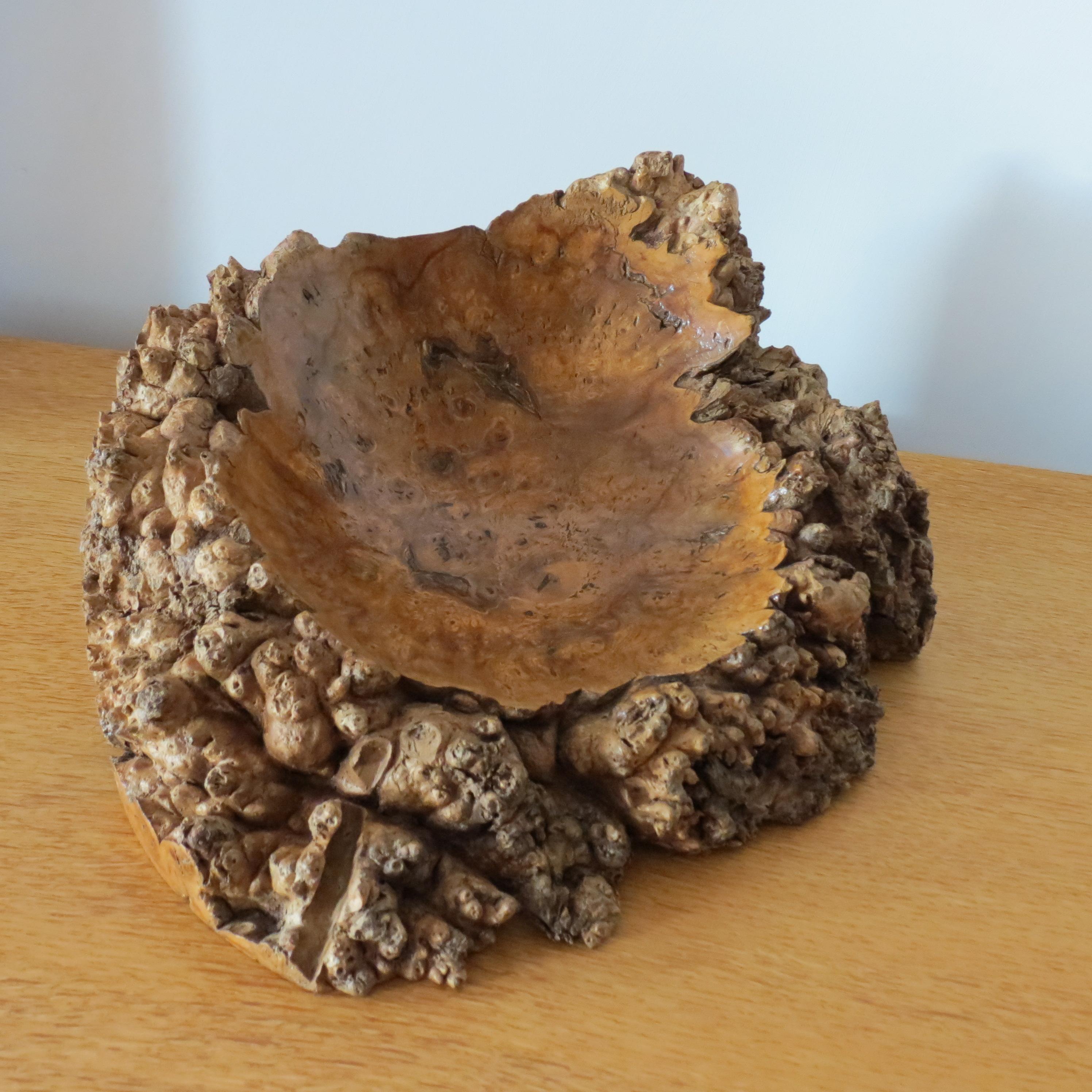 Hand Produced Vintage Burr Wood Gum wood Sculptural Naturalist Wooden Bowl 3