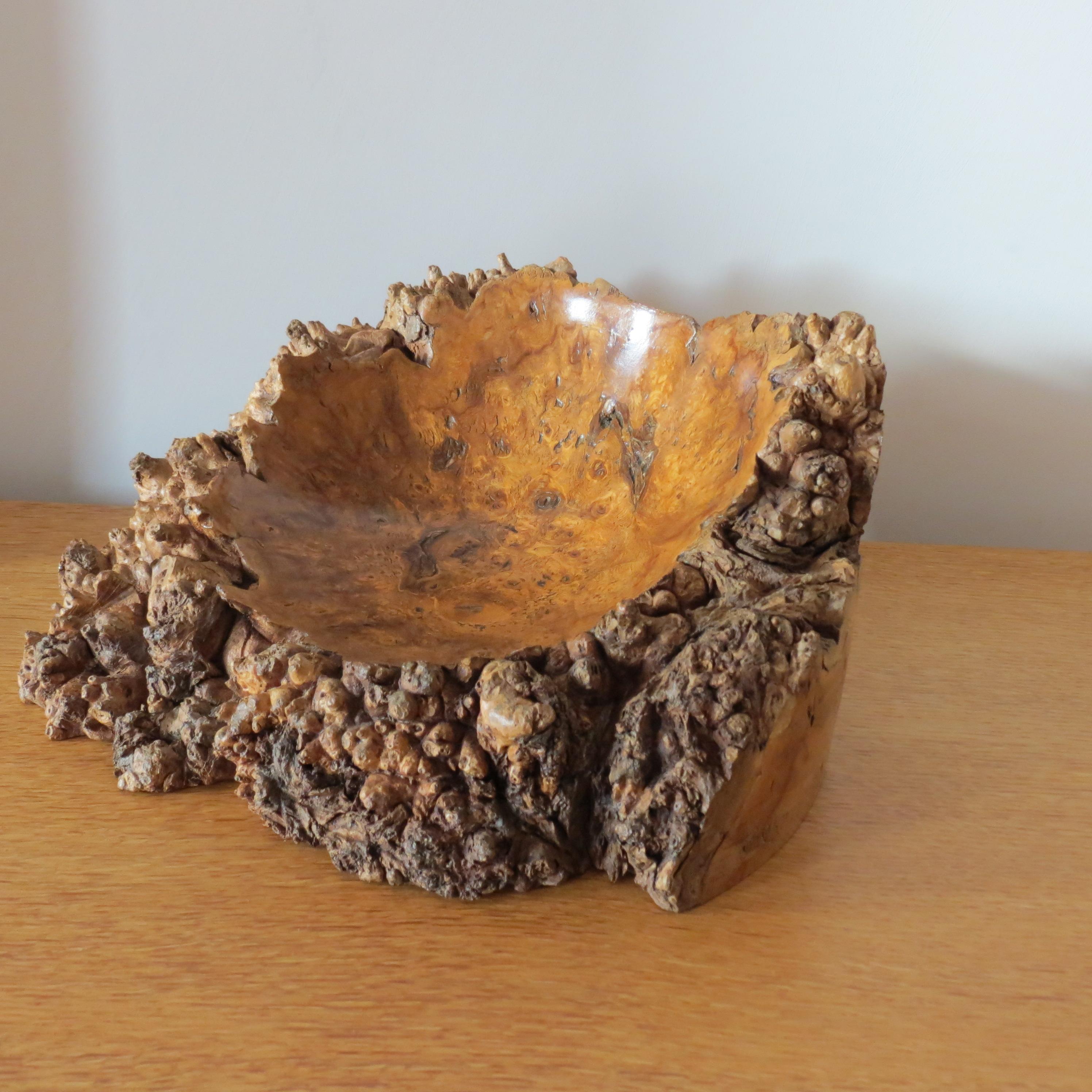 English Hand Produced Vintage Burr Wood Gum wood Sculptural Naturalist Wooden Bowl