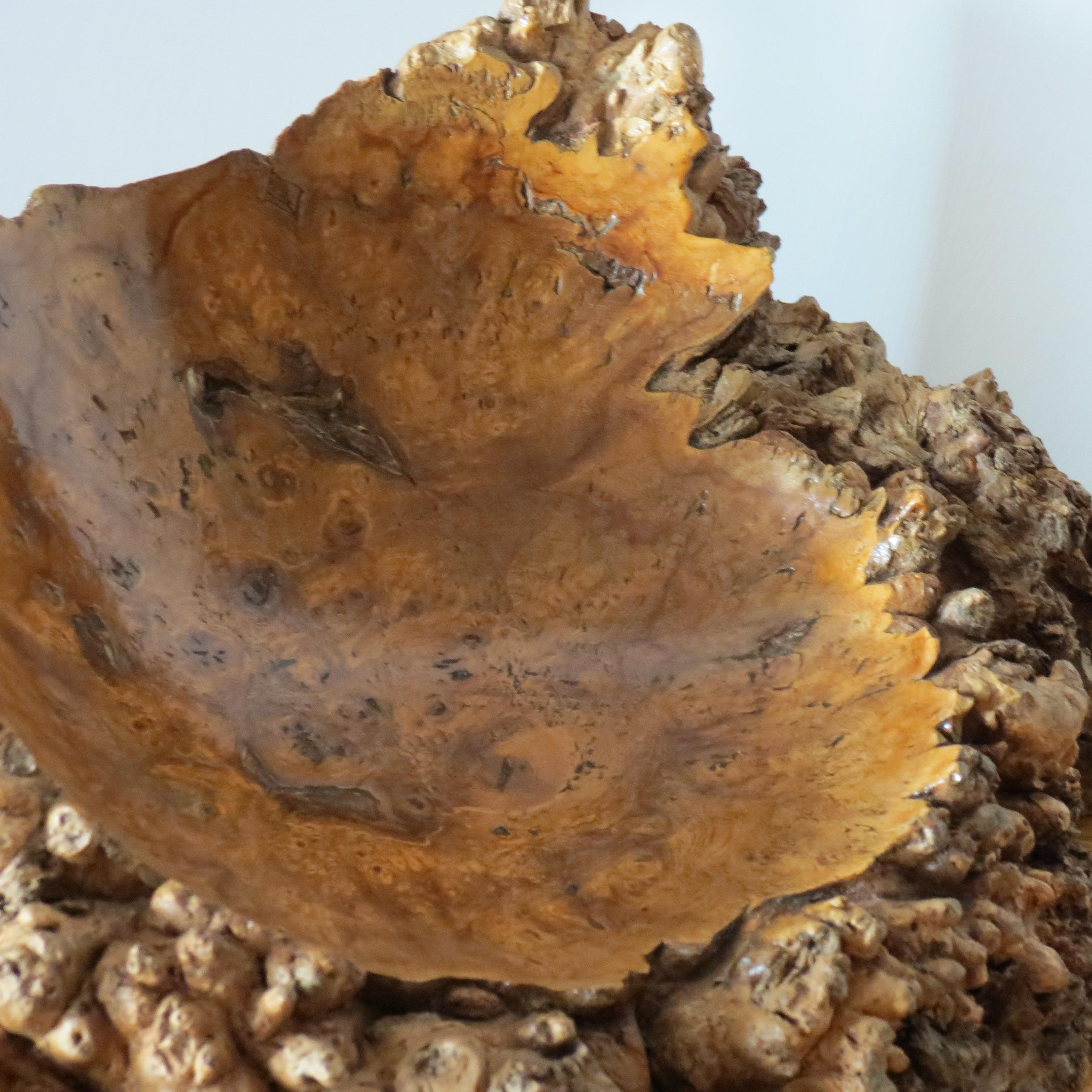 20th Century Hand Produced Vintage Burr Wood Gum wood Sculptural Naturalist Wooden Bowl