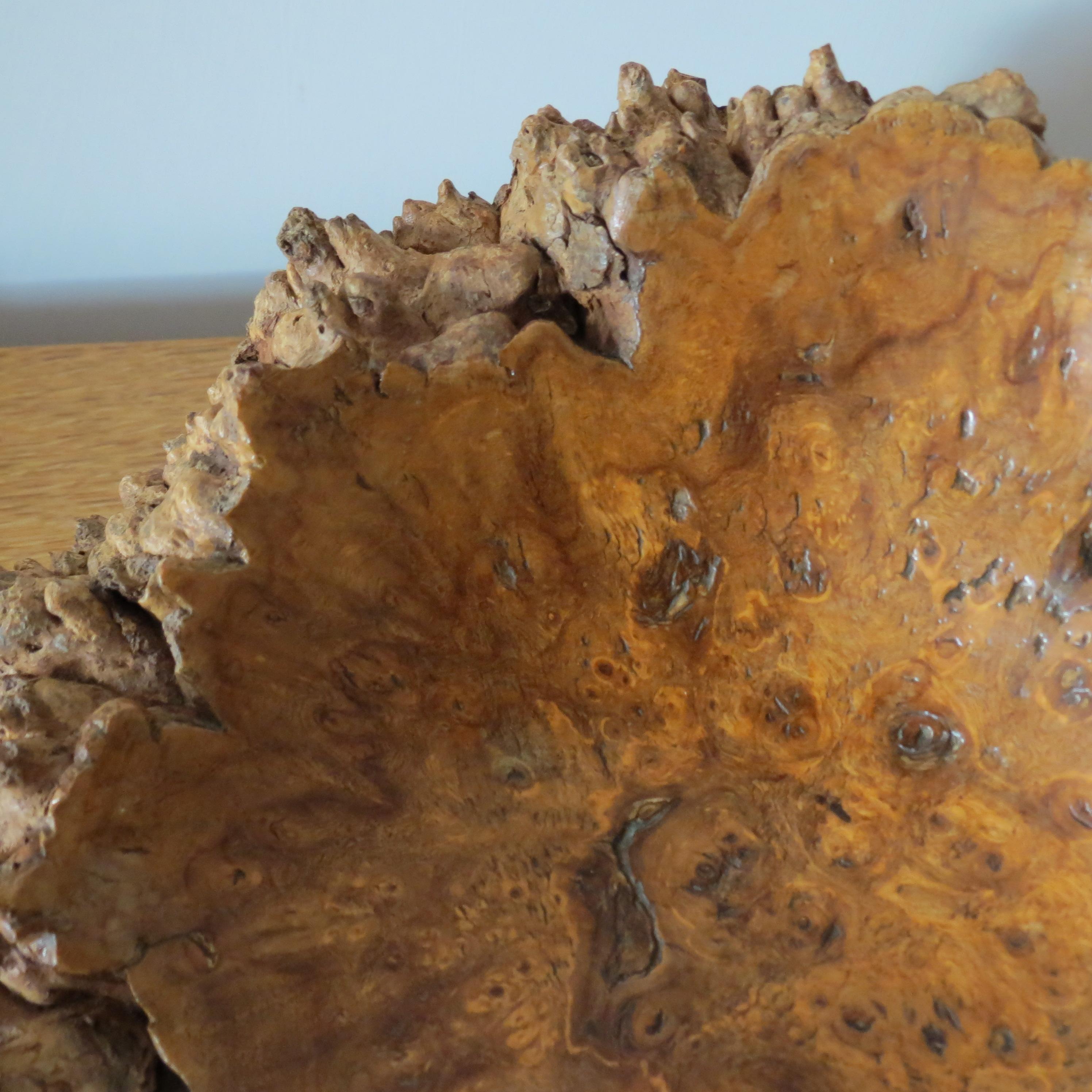 Hand Produced Vintage Burr Wood Gum wood Sculptural Naturalist Wooden Bowl 1