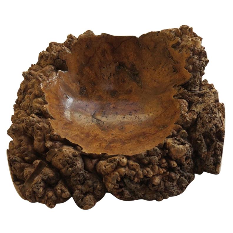 Hand Produced Vintage Burr Wood Gum Wood Sculptural Naturalist Wooden Bowl