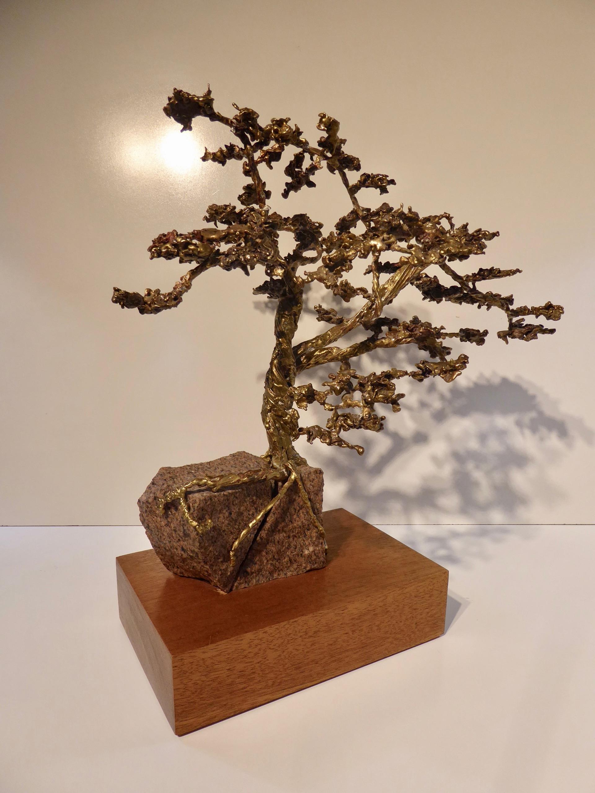 A hand-sculpted bronze bonsai tree by American artist Jack S. Chase (B 1941). The sculpture is anchored onto a rough-hewn split granite block, which is mounted to a mahogany plinth base. It retains a metal tag with the artist's signature and the