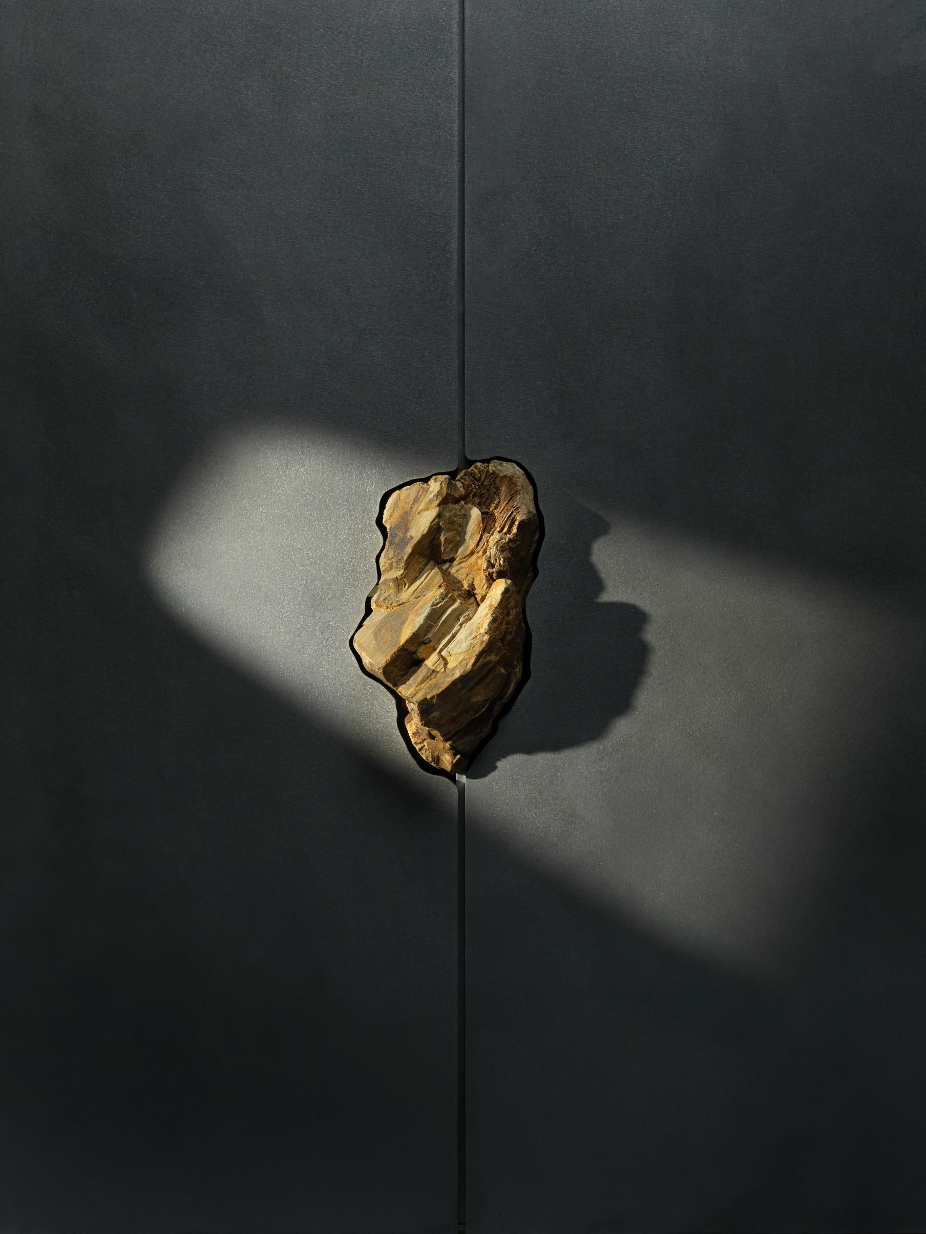 Hand-Sculpted Cabinet with Original Petrified Oak, Pierre De Valck For Sale 3