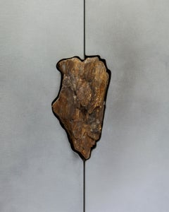 Hand-Sculpted Cabinet with Original Petrified Winteroak, Pierre De Valck