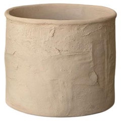 Hand-Sculpted Concrete Planter Hand-Sculpted Concrete Planter