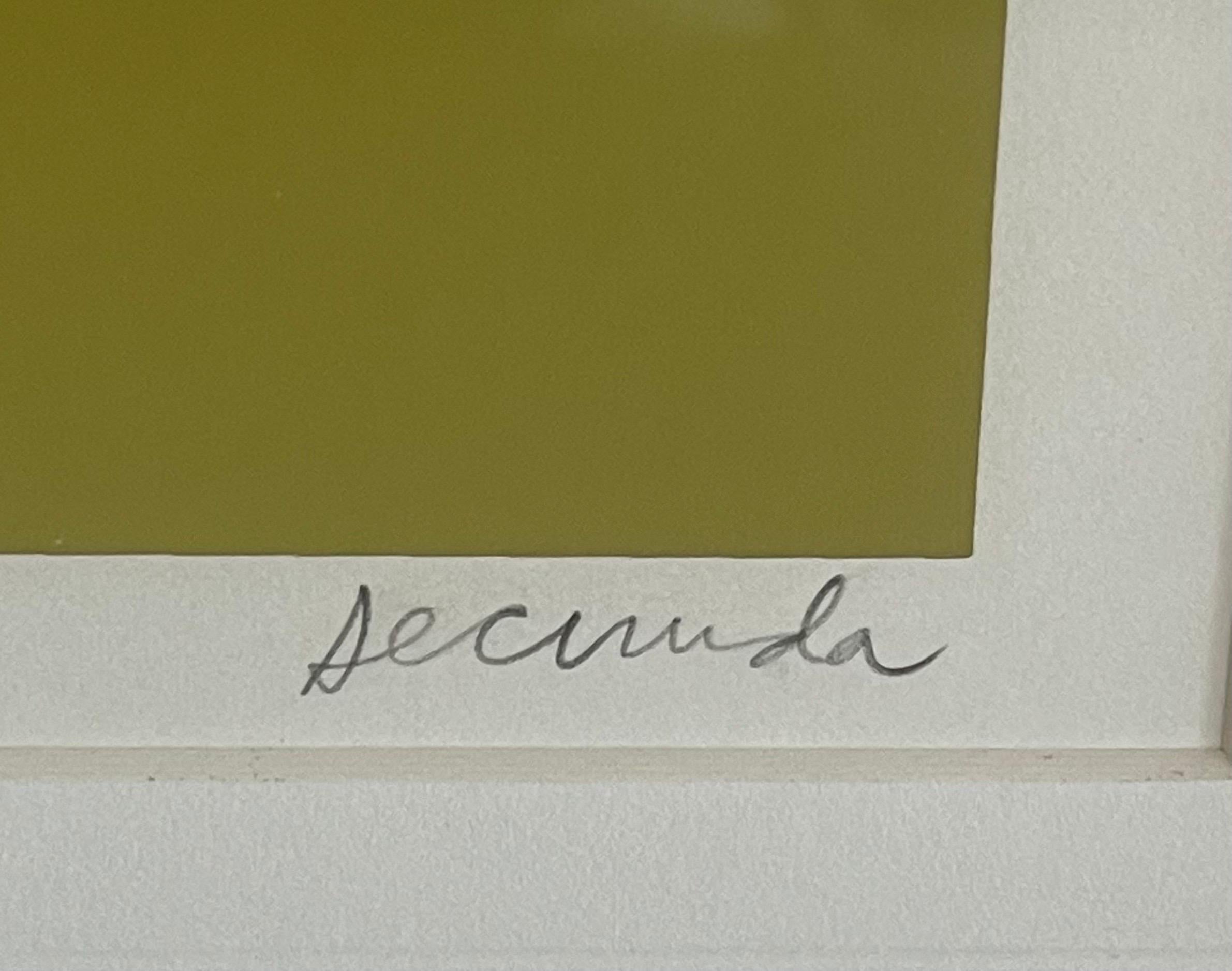 Serigrafía firmada a mano de edición limitada 