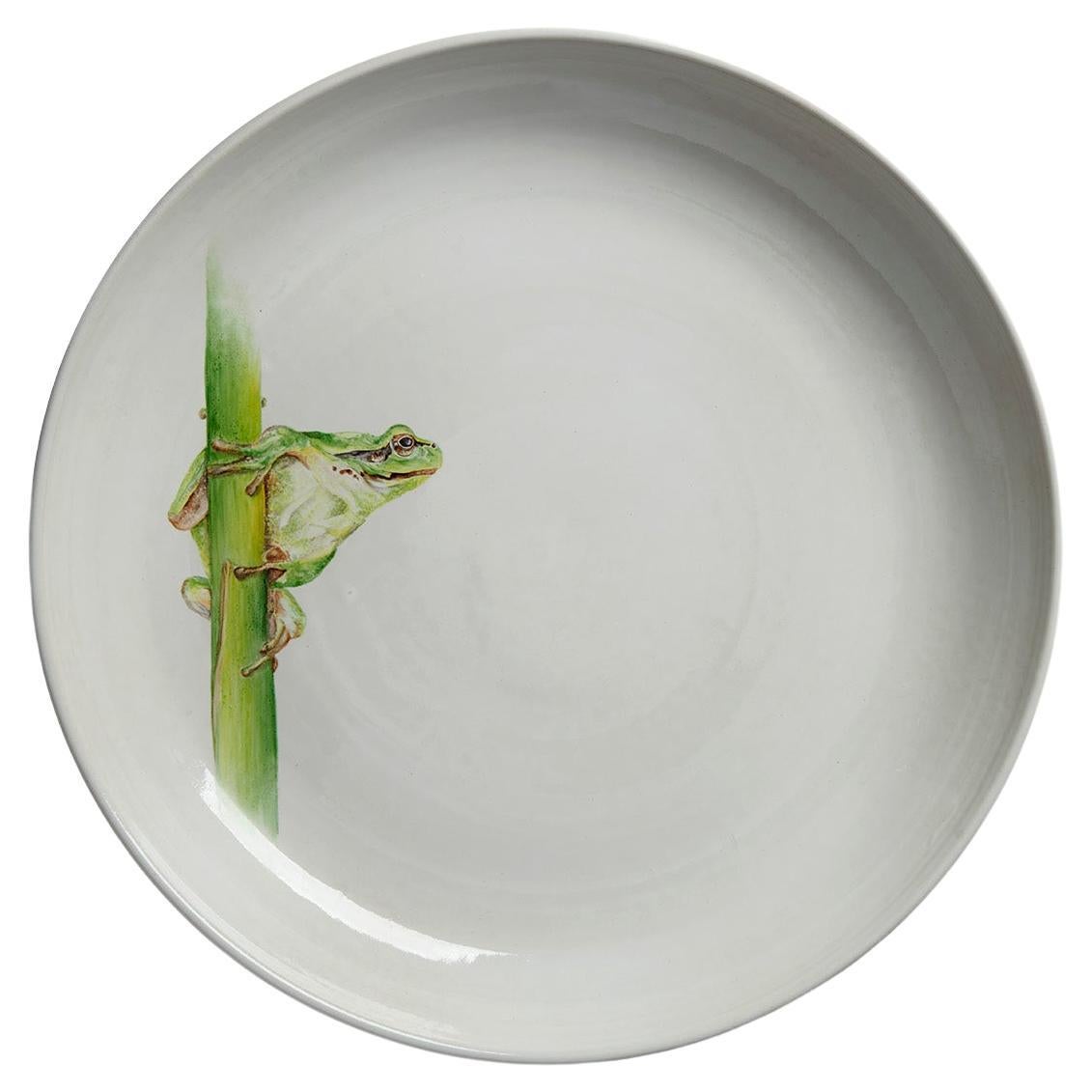 Plato de centro de mesa de cerámica con rana pintada a mano