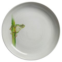 Plato de centro de mesa de cerámica con rana pintada a mano