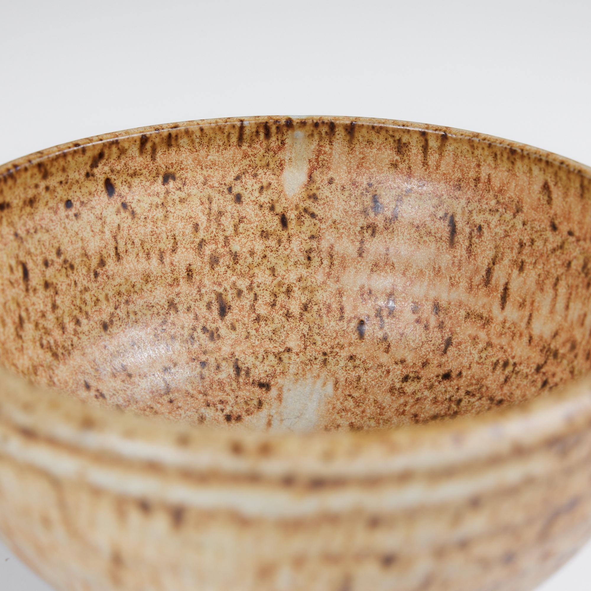 Hand Thrown Ceramic Speckle Glazed Bowl For Sale 2
