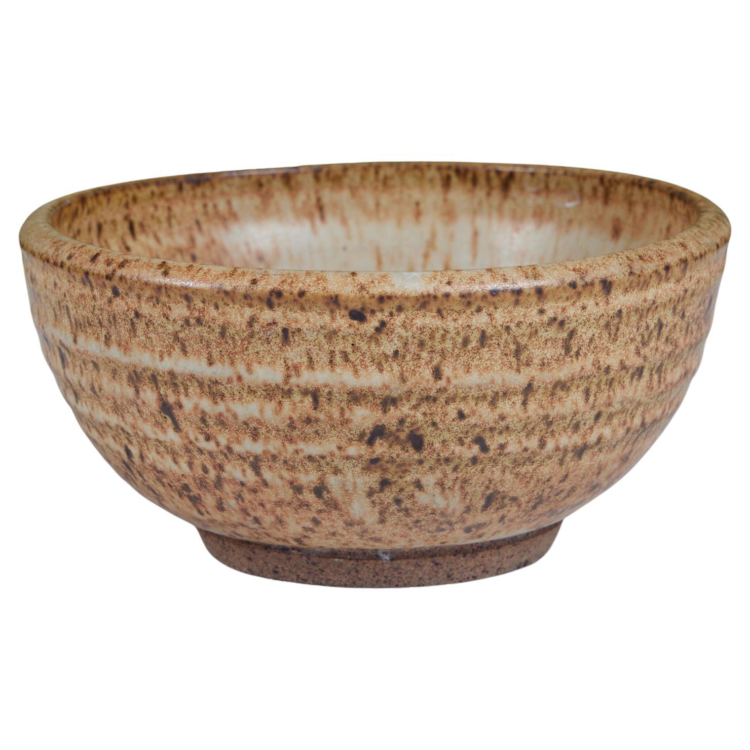 Hand Thrown Ceramic Speckle Glazed Bowl For Sale
