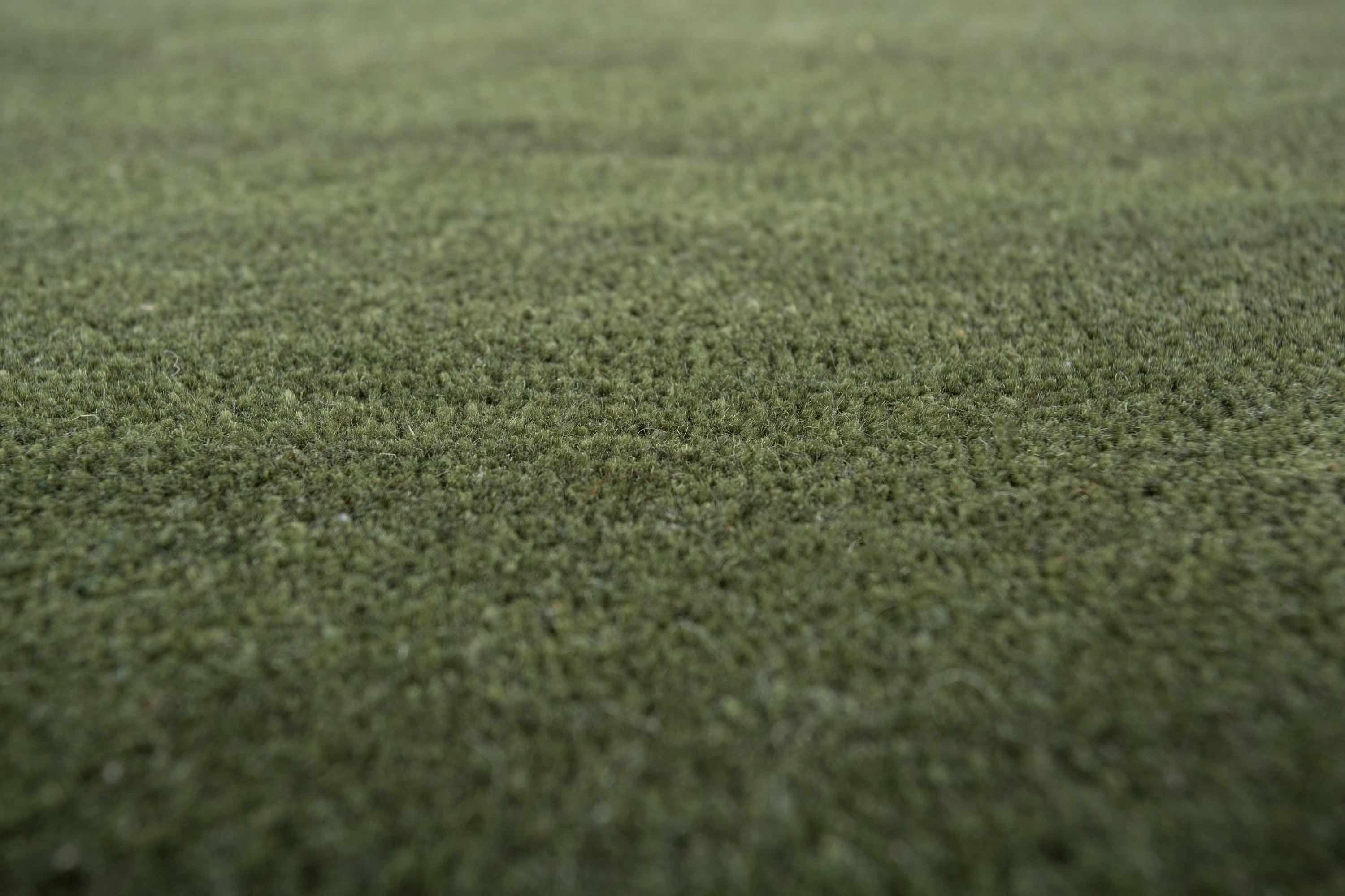 Alfombras de lana tejidas a mano en tonos verdes intensos, diseño de textura orgánica Indio en venta