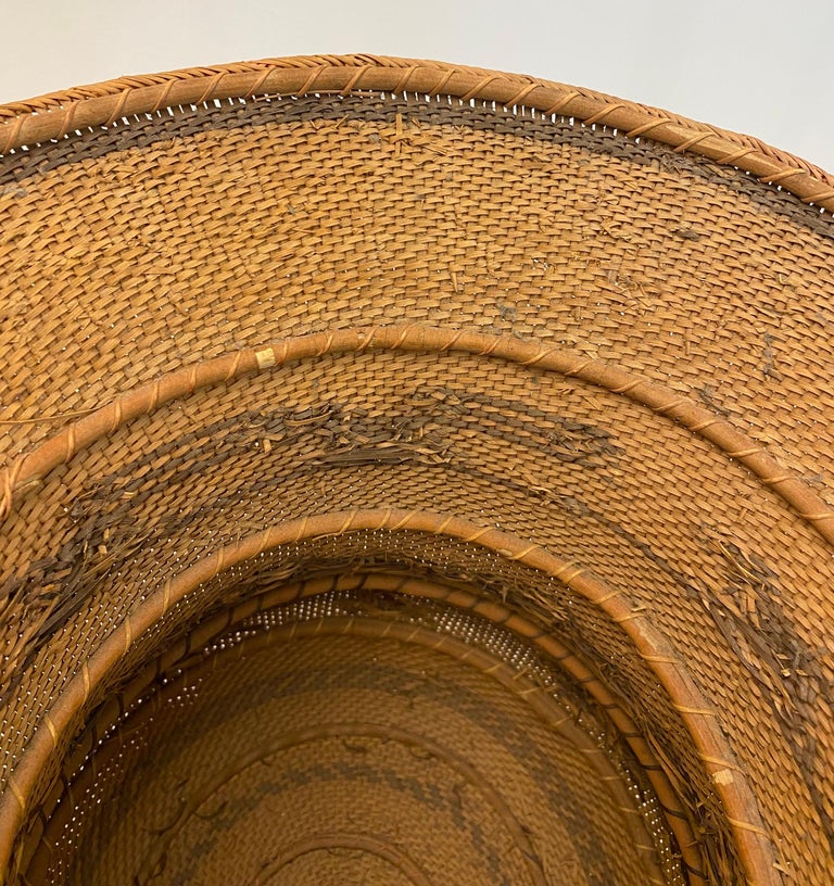 Hand Woven Basket by the Tribal People of the Amazon For Sale at 1stDibs