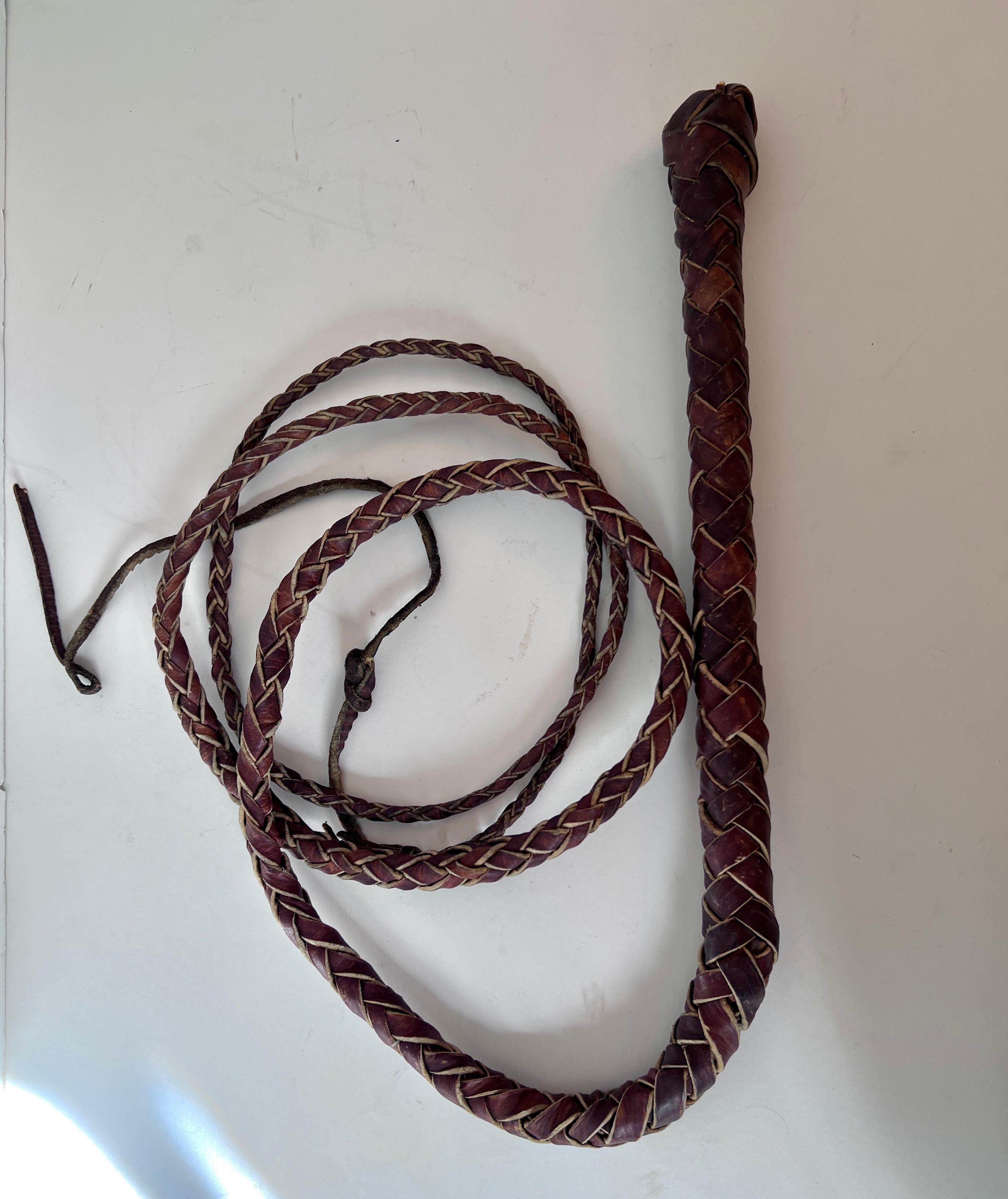whip in hand