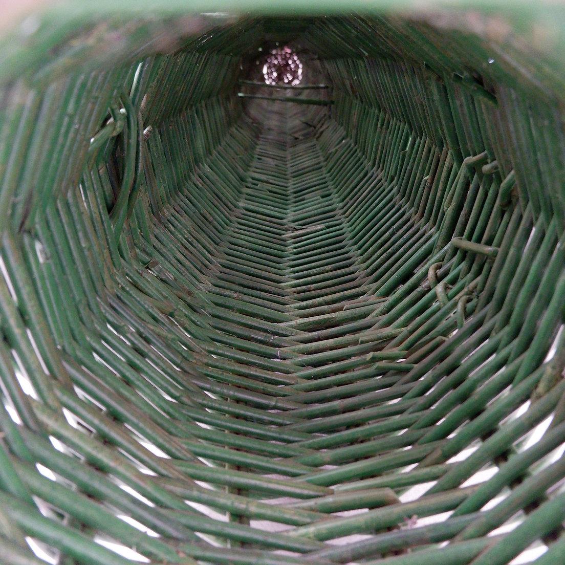 Scultura di cactus 