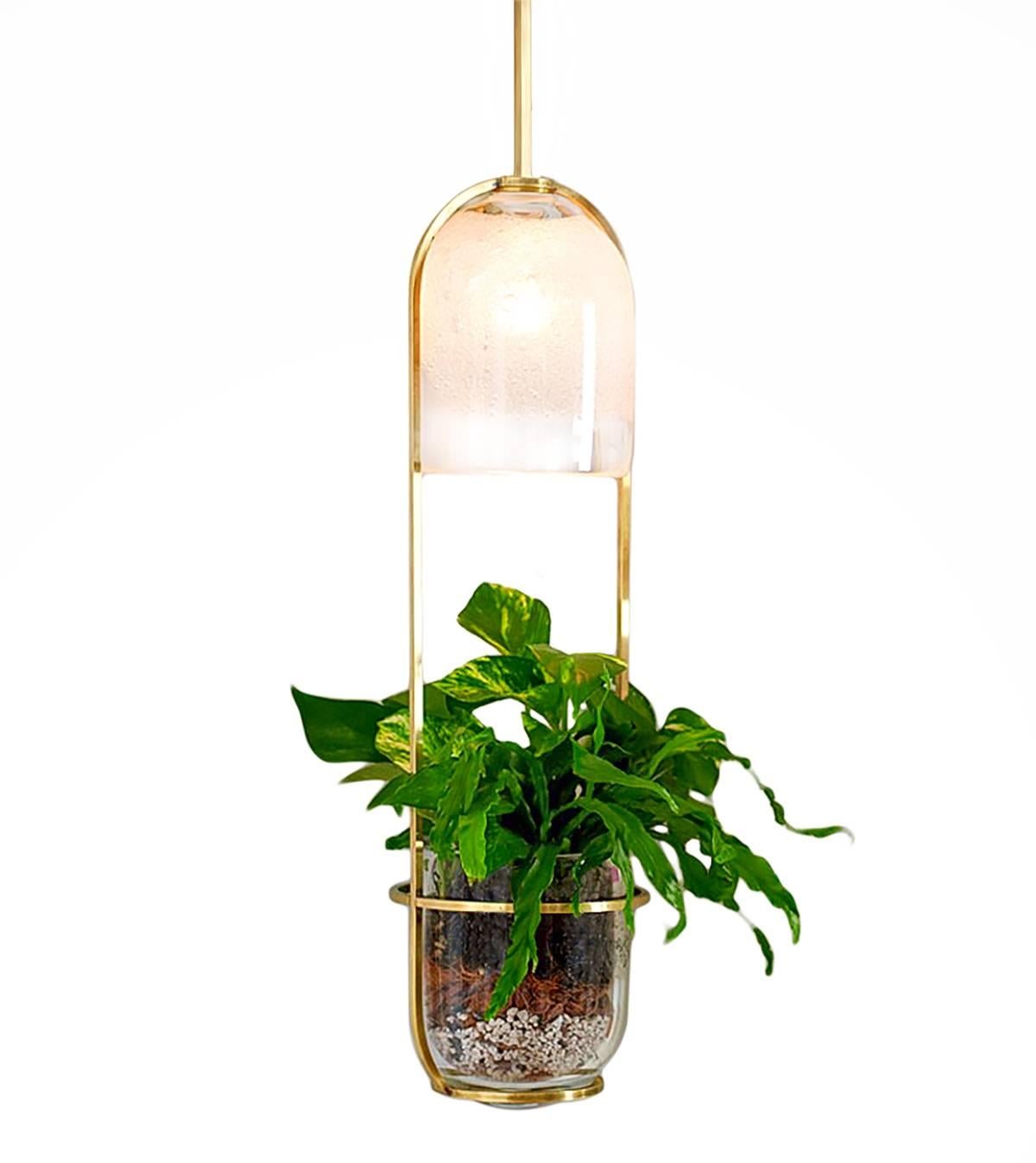 Growlight - shown in living brass finish • Hand Blown Glass • Made in USA
includes canopy or ceiling hook, 2' of chain, planting medium, and bulb

The growlight was conceived for the individual who is limited by light, space, or temperatures outside