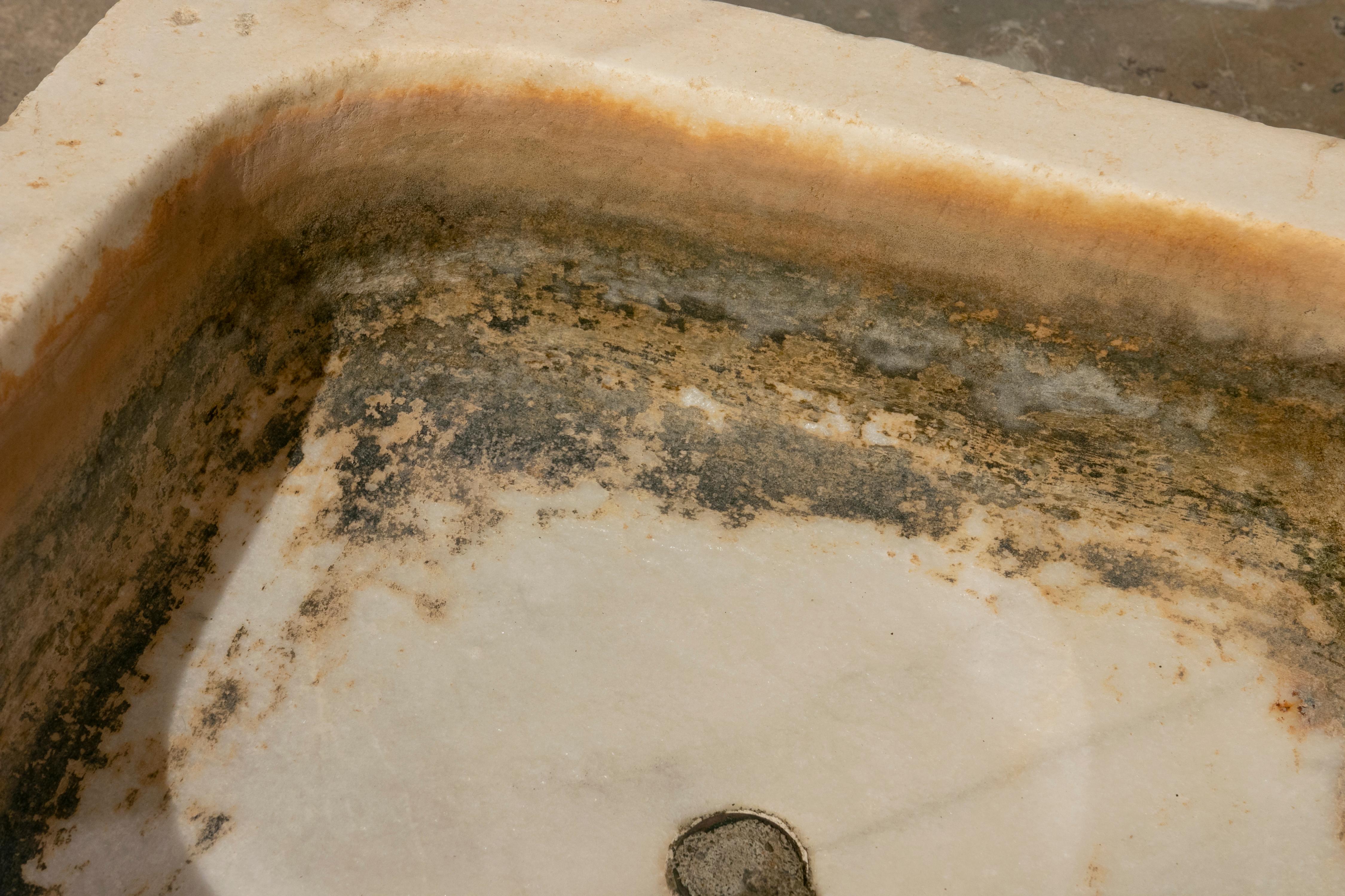 Handcarved Marble Washbasin from the XIX Century For Sale 4