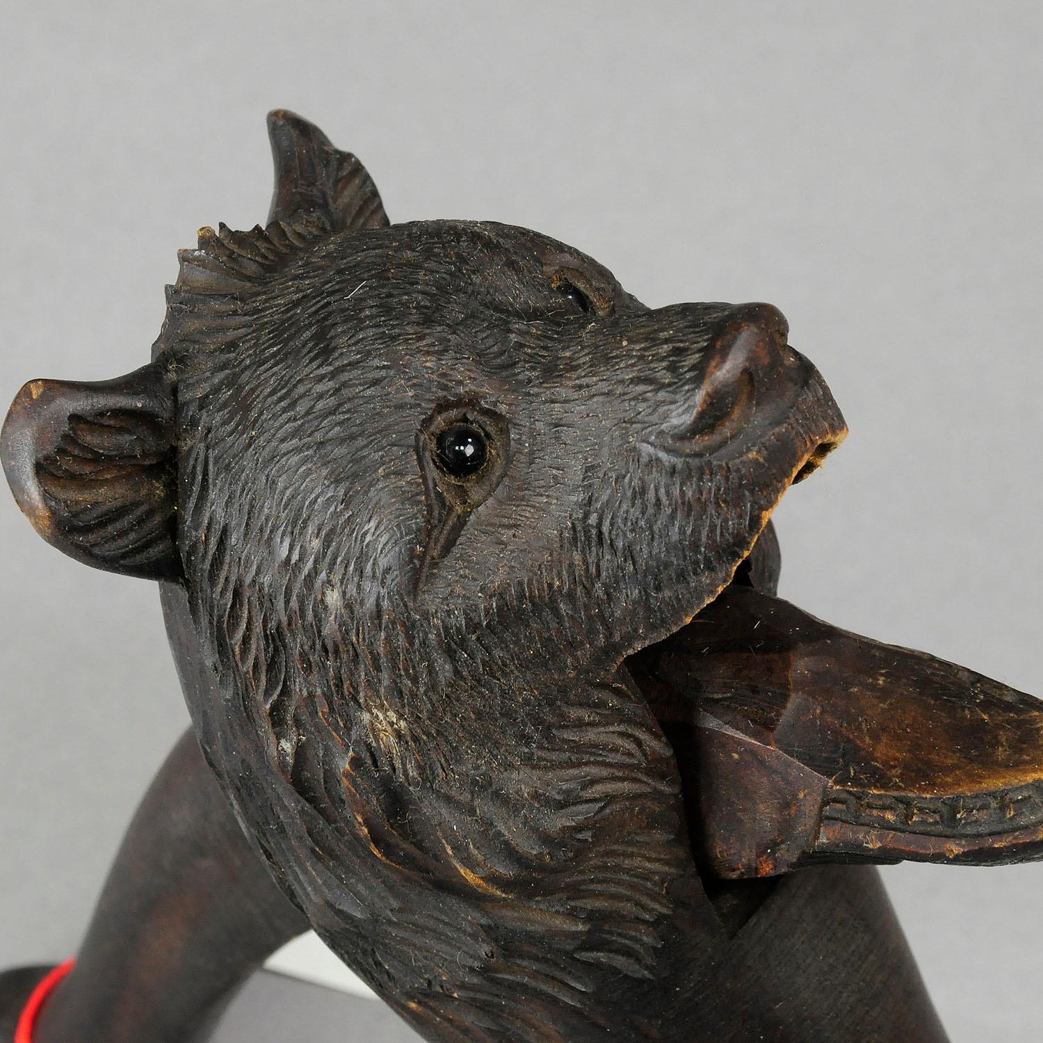 Black Forest Hand Carved Wood Bear Head Nutcracker Brienz Switzerland For Sale