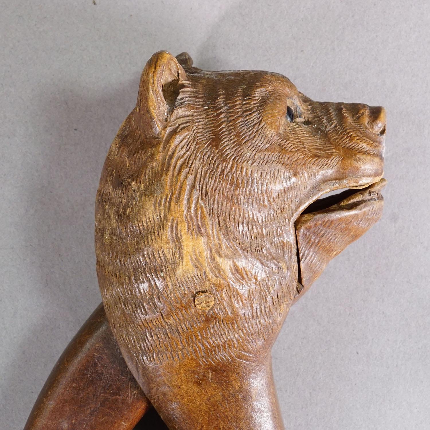 Casse-noisette à tête d'ours en bois sculpté à la main, Suisse - Brienz vers 1900 Bon �état - En vente à Berghuelen, DE
