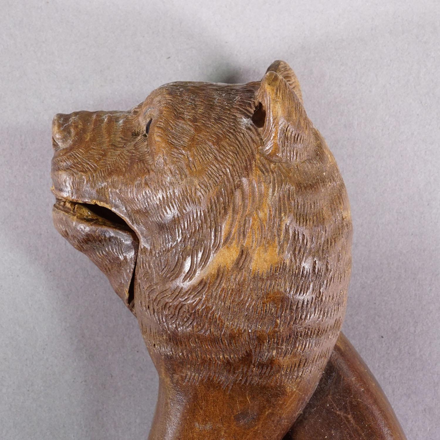 Début du 20ème siècle Casse-noisette à tête d'ours en bois sculpté à la main, Suisse - Brienz vers 1900 en vente