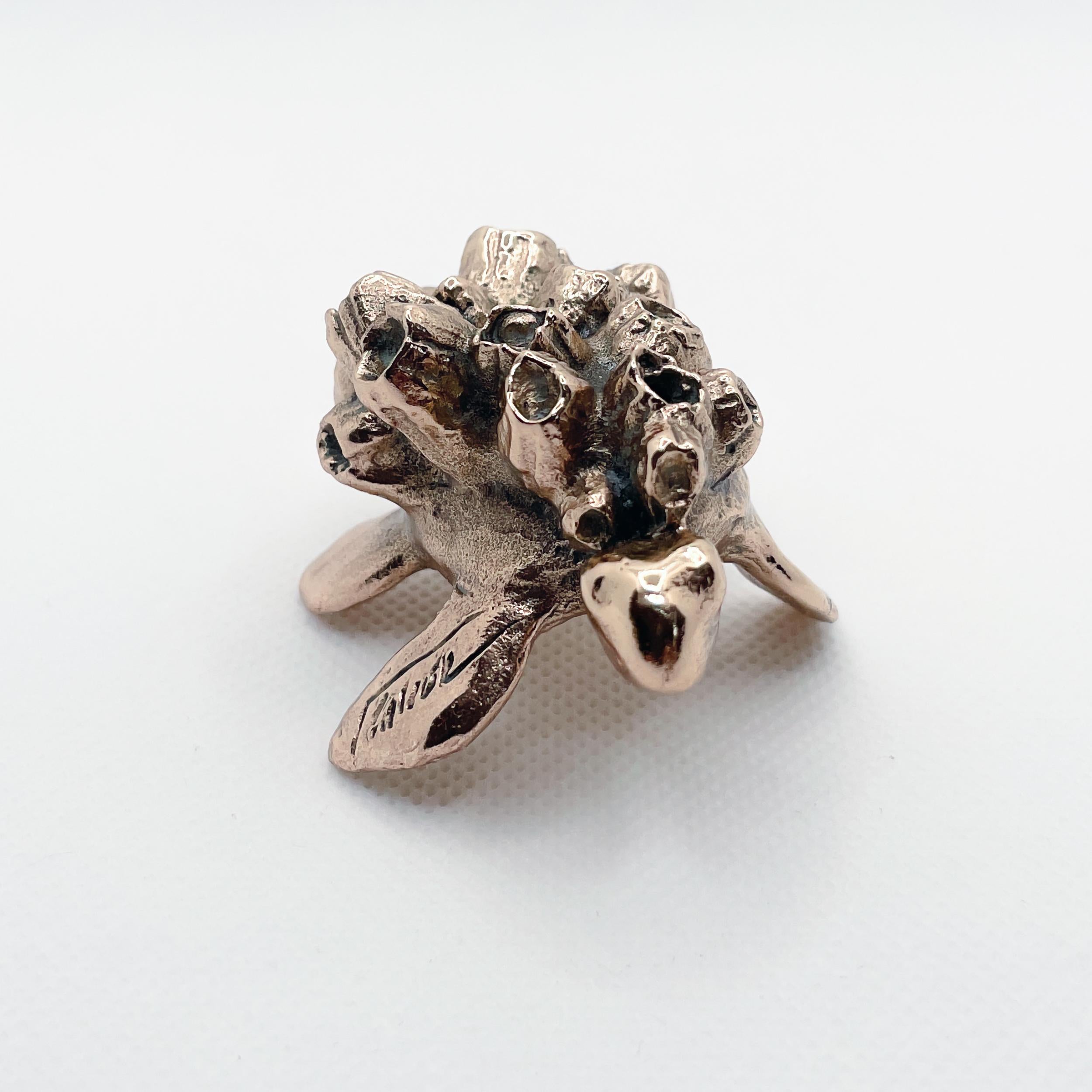 Scultura in miniatura di tartaruga marina in bronzo lucido, realizzata a mano dall'artista Javier de la Rosa.

Javier de la Rosa ha creato una serie di miniature in bronzo che celebrano gli animali e la bellezza del quotidiano. Ognuno di questi