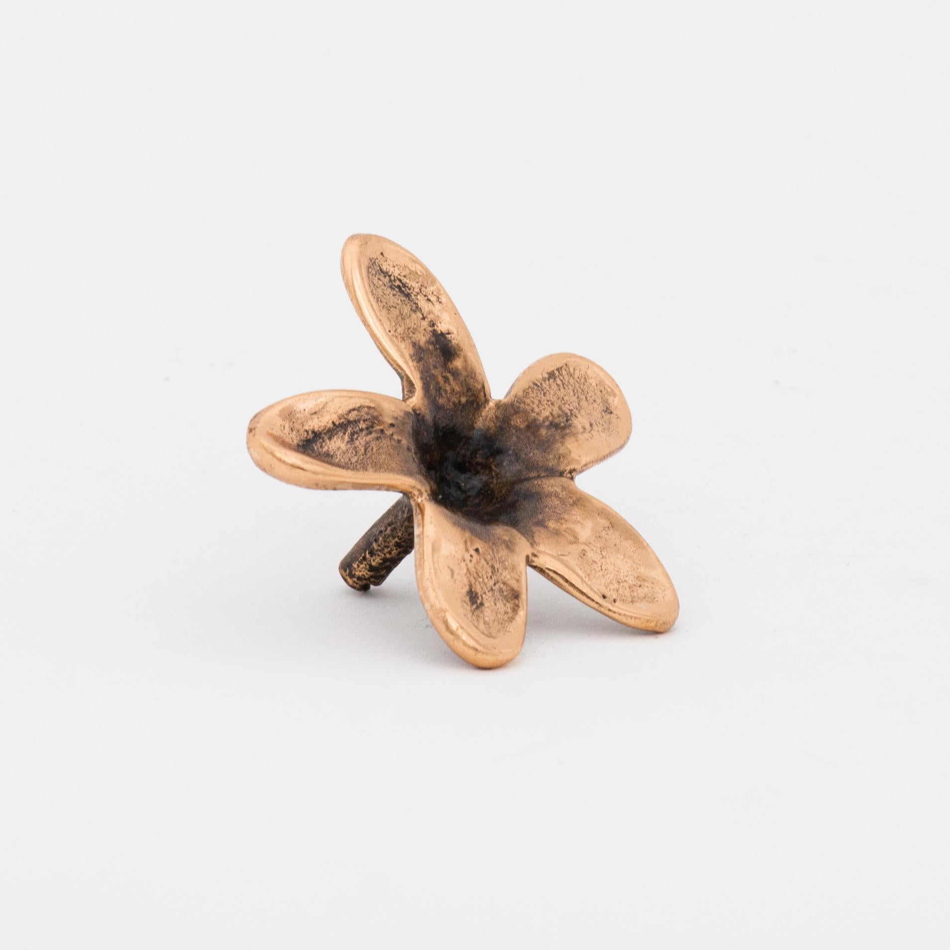 Created by The Design Foundry.

Each of these exquisite brass flowers are handmade individually with incredible detail. Cast using very traditional techniques, they are finished with a bronze patina finish.

Slight variations in the patina,