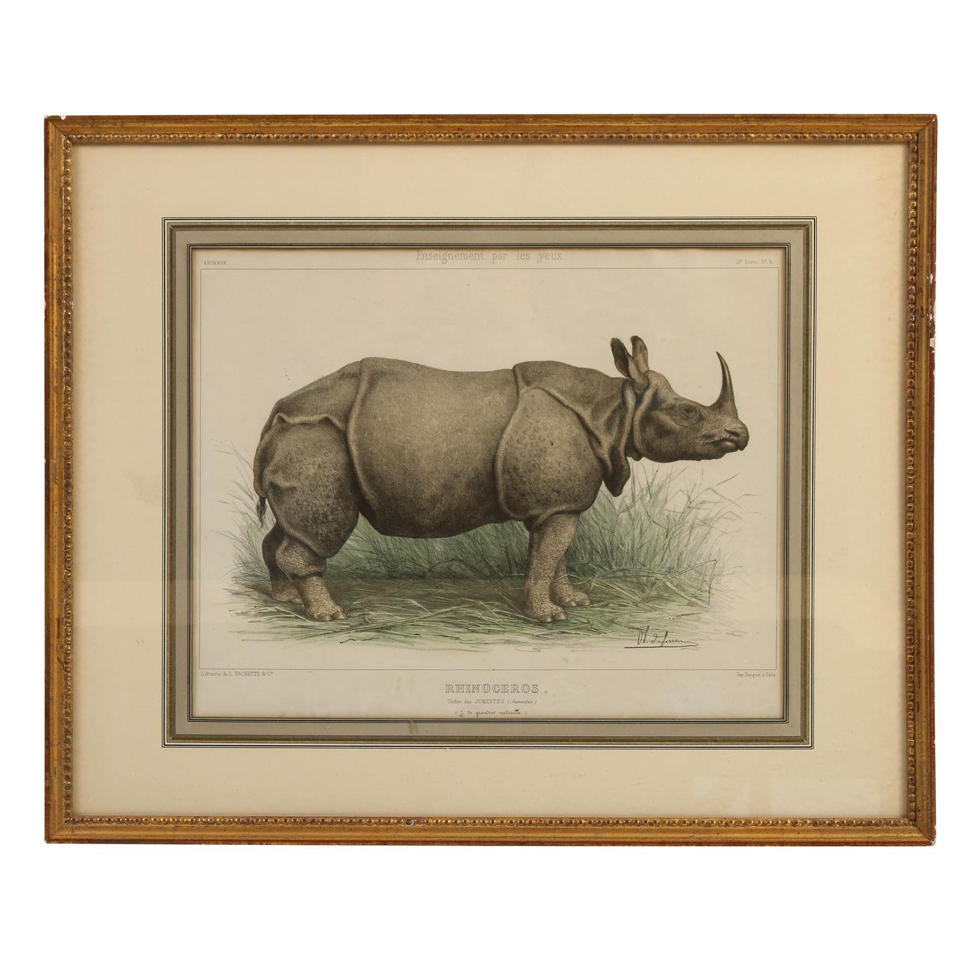 Handcolored Etchings of African Animals Matted in Gilt Frames, Set of Four In Good Condition For Sale In Locust Valley, NY