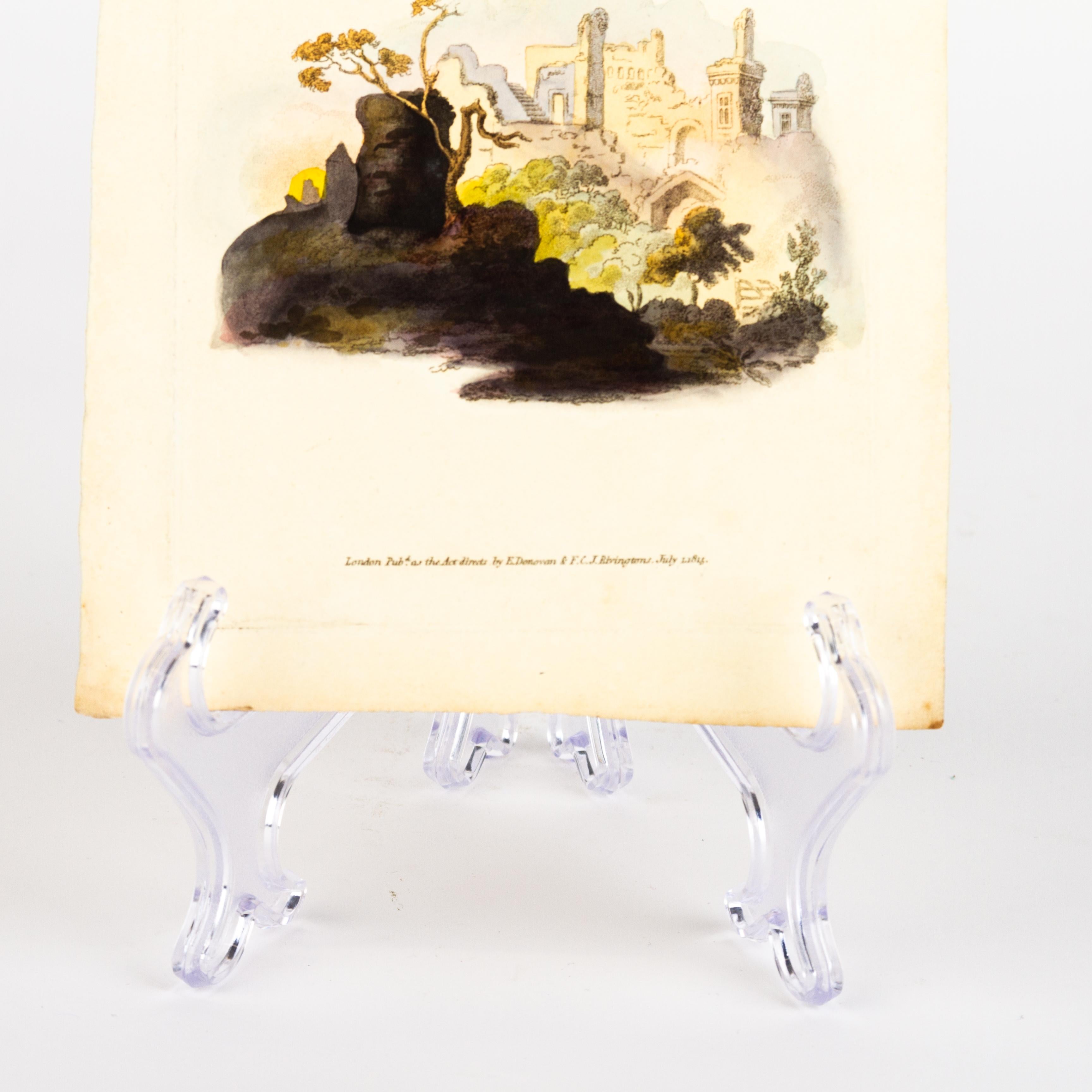 Handkolorierte Kupferplatte E. Donovan & F.C. & J. Rivington Juli 1815 Gravur im Zustand „Gut“ im Angebot in Nottingham, GB