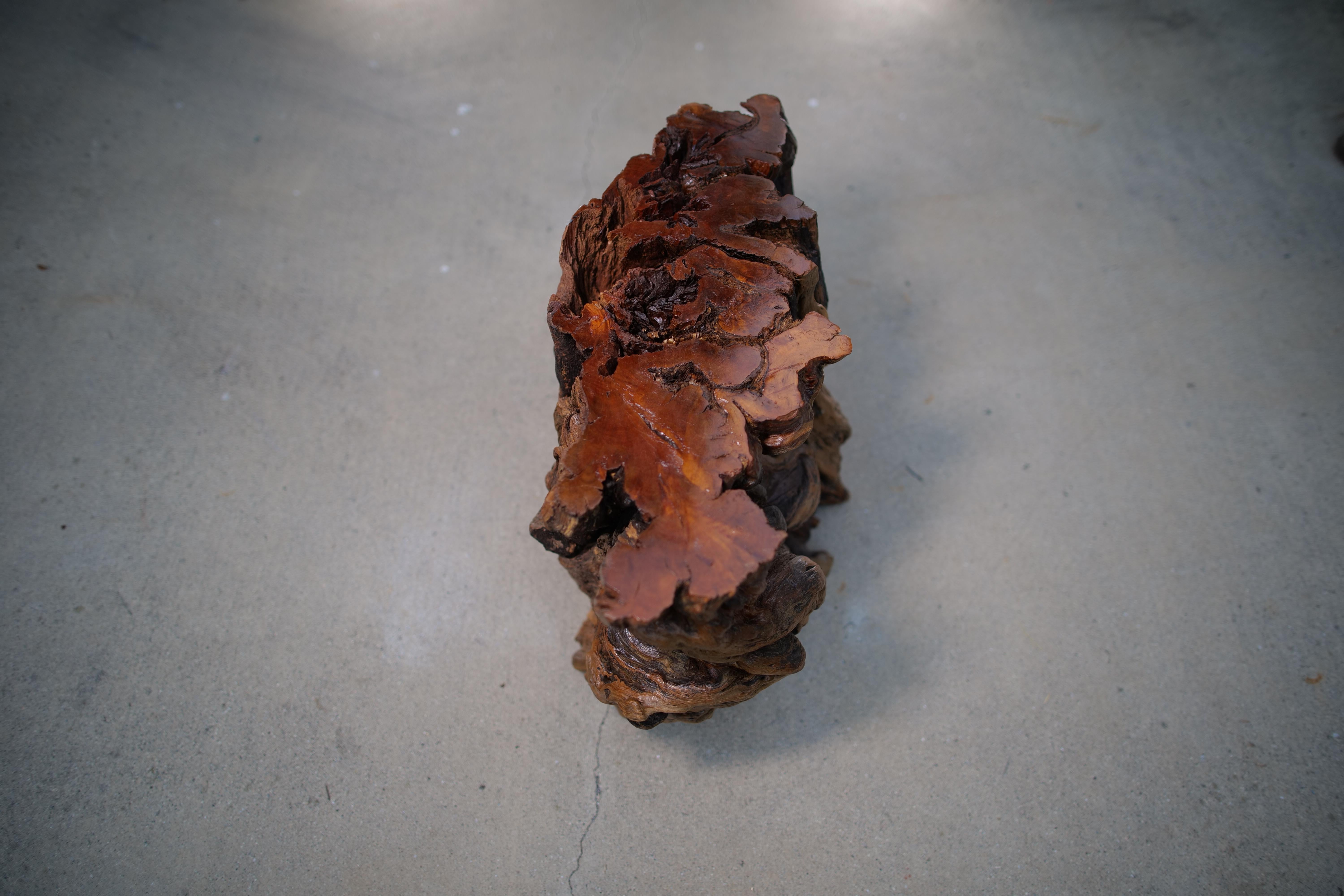 Mesa auxiliar artesanal de madera de deriva de California con tapa de cristal templado en venta 9