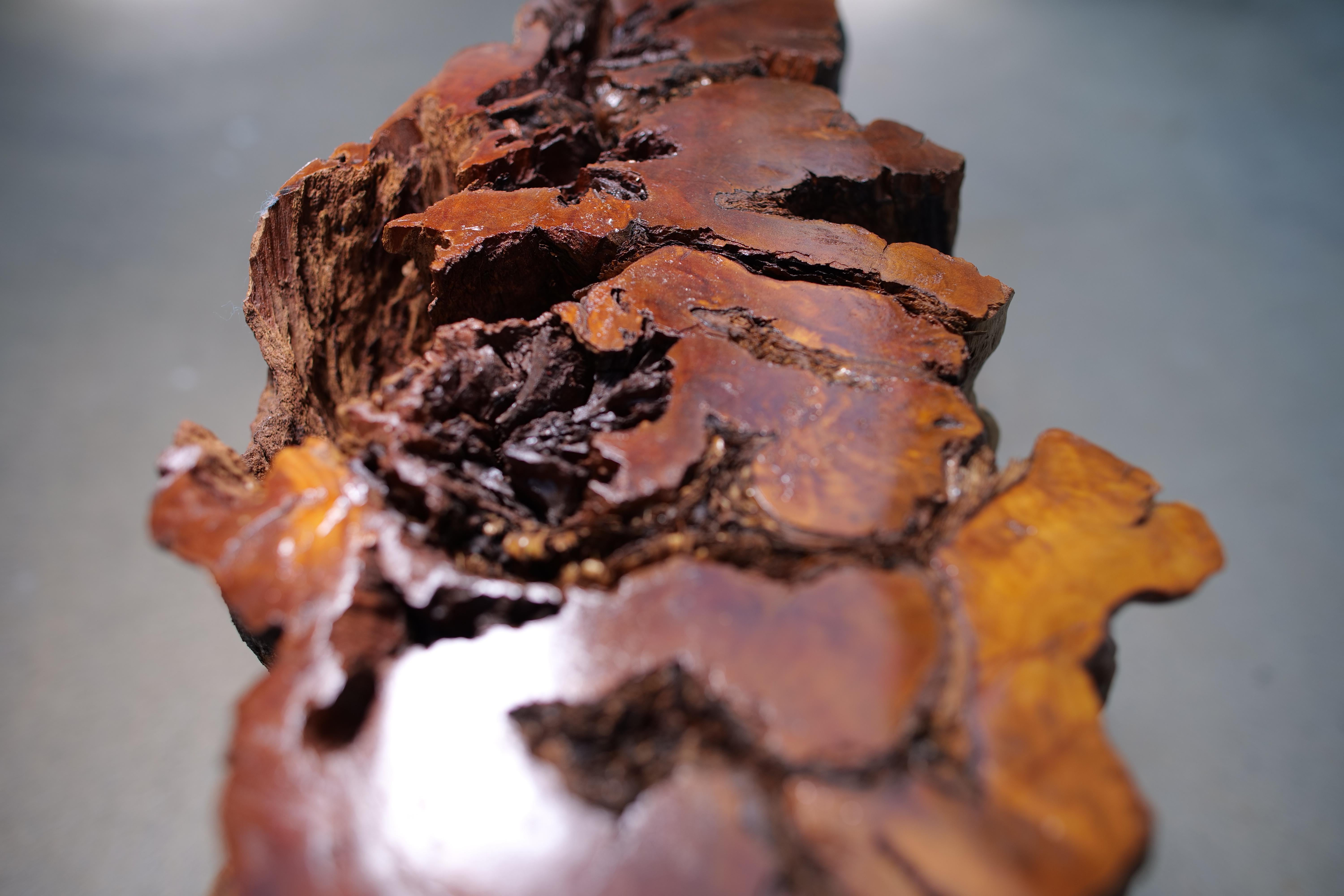 Mesa auxiliar artesanal de madera de deriva de California con tapa de cristal templado en venta 11