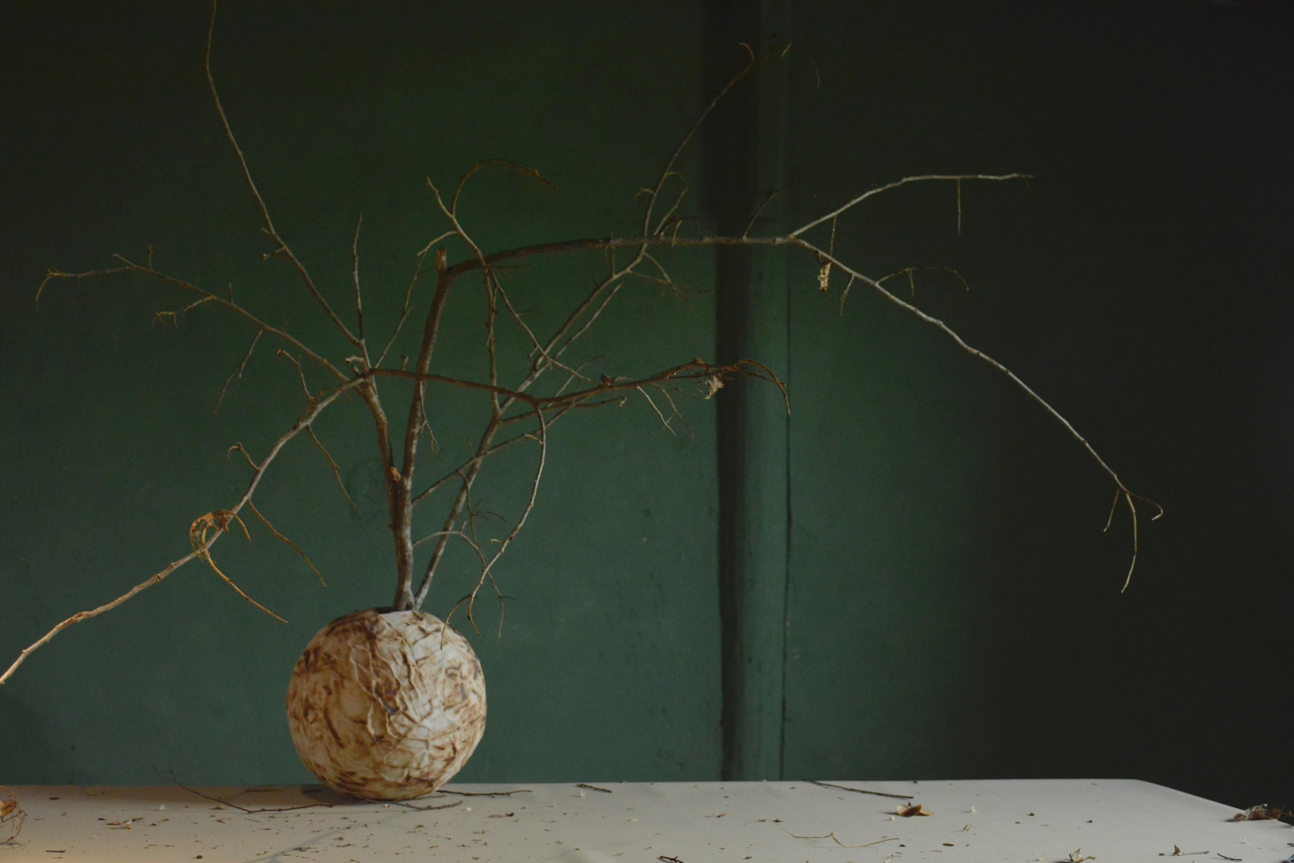 Handcrafted Ceramic Sphere Vases (Set of 3) - Sculptural Art Object For Sale 1