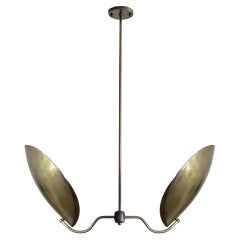 Handcrafted Chiton-2 Brass Chandelier by Gallery L7