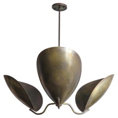 Handcrafted Chiton-3 Chandelier by Gallery L7