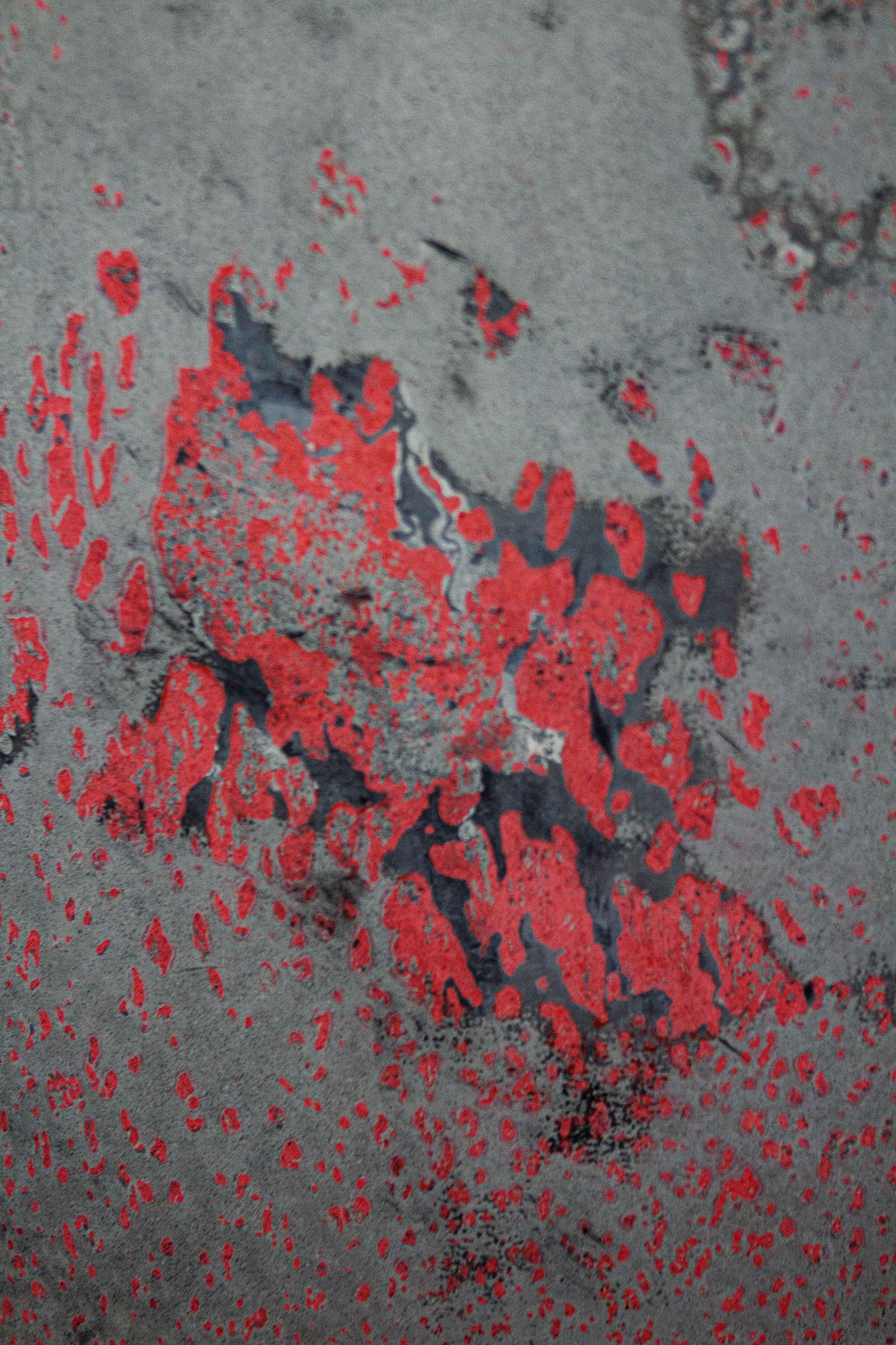 Collezione Line Zero, numero 29 di Dylan Myers in vendita 2