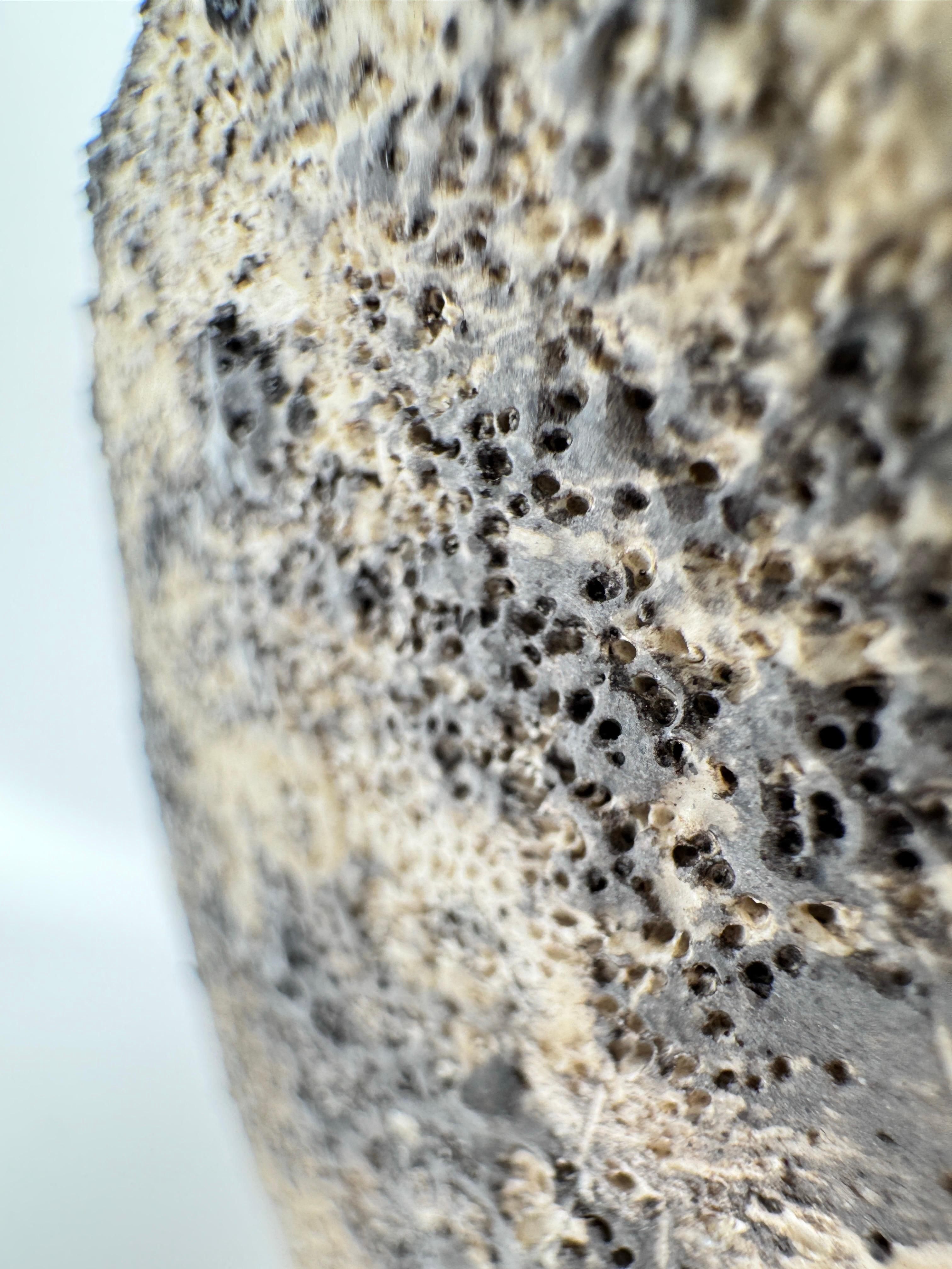 Vaso in ceramica ecologica realizzato a mano  Texture vulcanica e finitura lucida in vendita 1