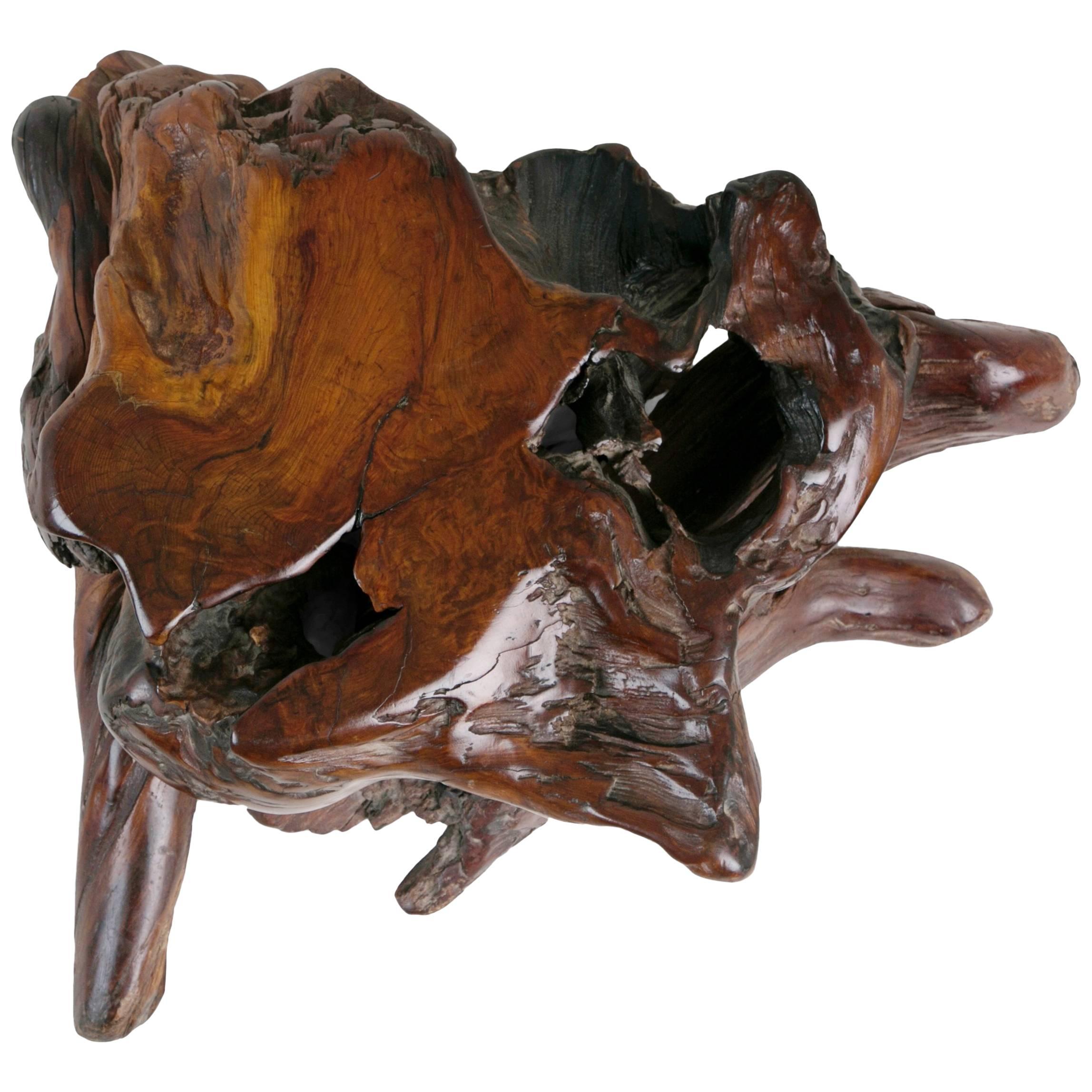 Table d'appoint artisanale Freeform Live Slab Burl Redwood:: fabriquée à la main par Daryl Stokes