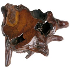 Handcrafted Freeform Live Slab Burl Redwood Artisan Side Table by Daryl Stokes