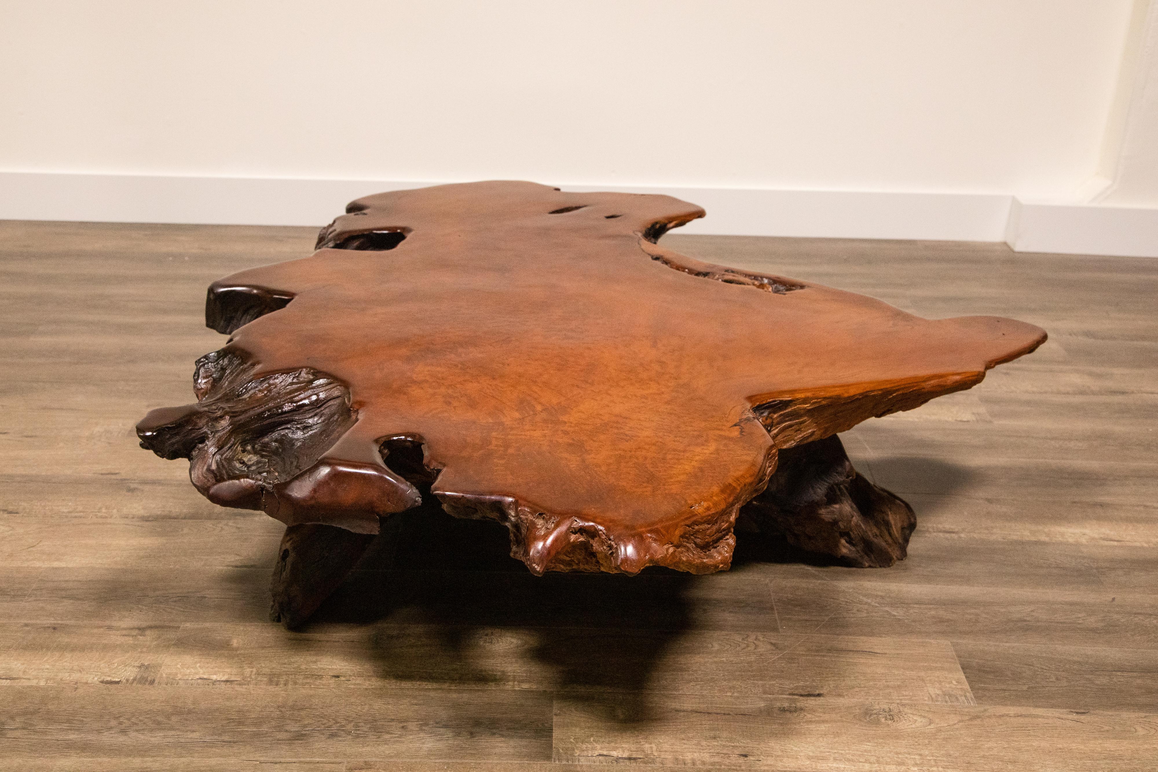 Handcrafted Freeform Live Slab Burl Redwood Coffee Table by Daryl Stokes, 1970s 1