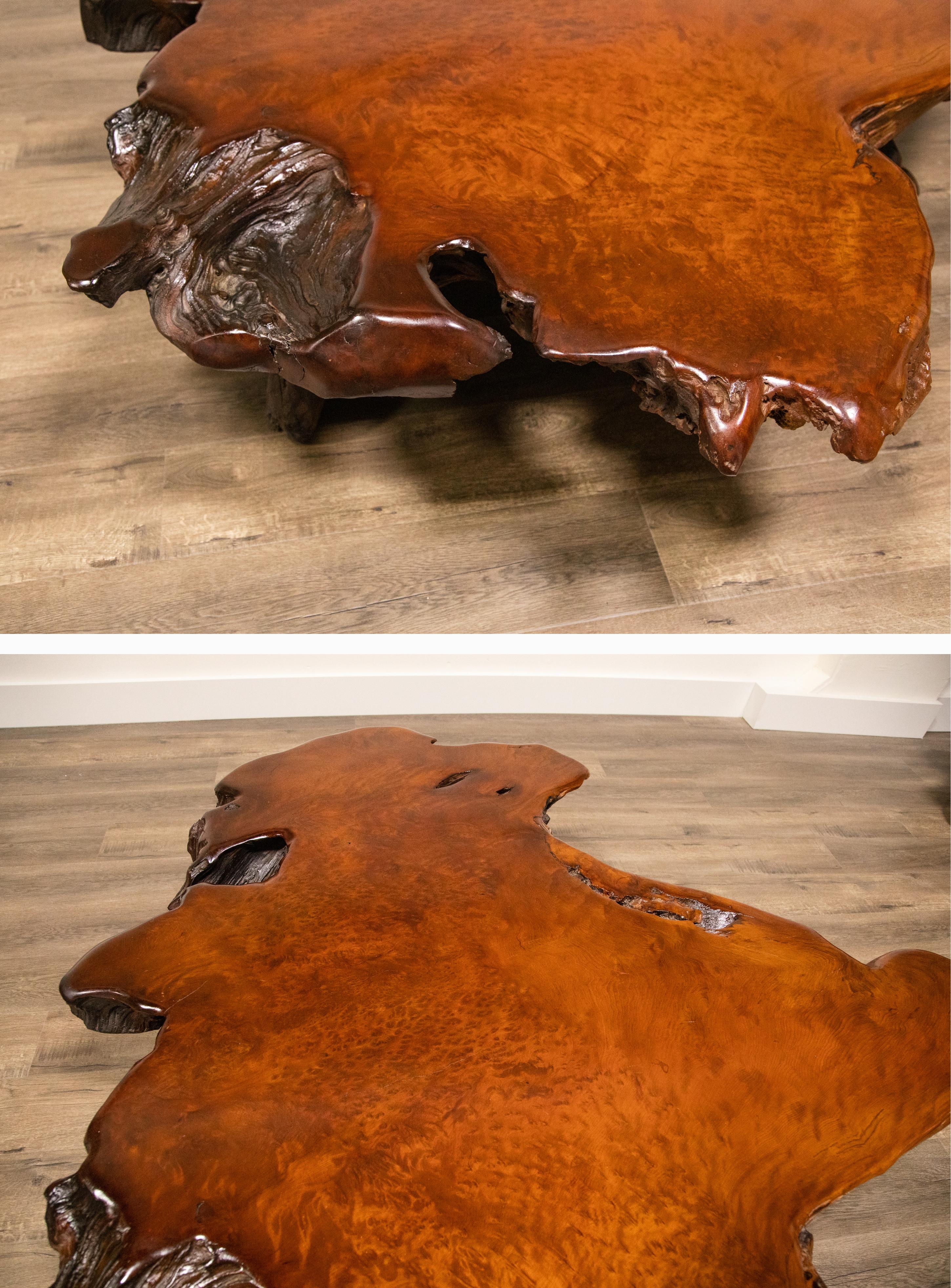 Handcrafted Freeform Live Slab Burl Redwood Coffee Table by Daryl Stokes, 1970s 9
