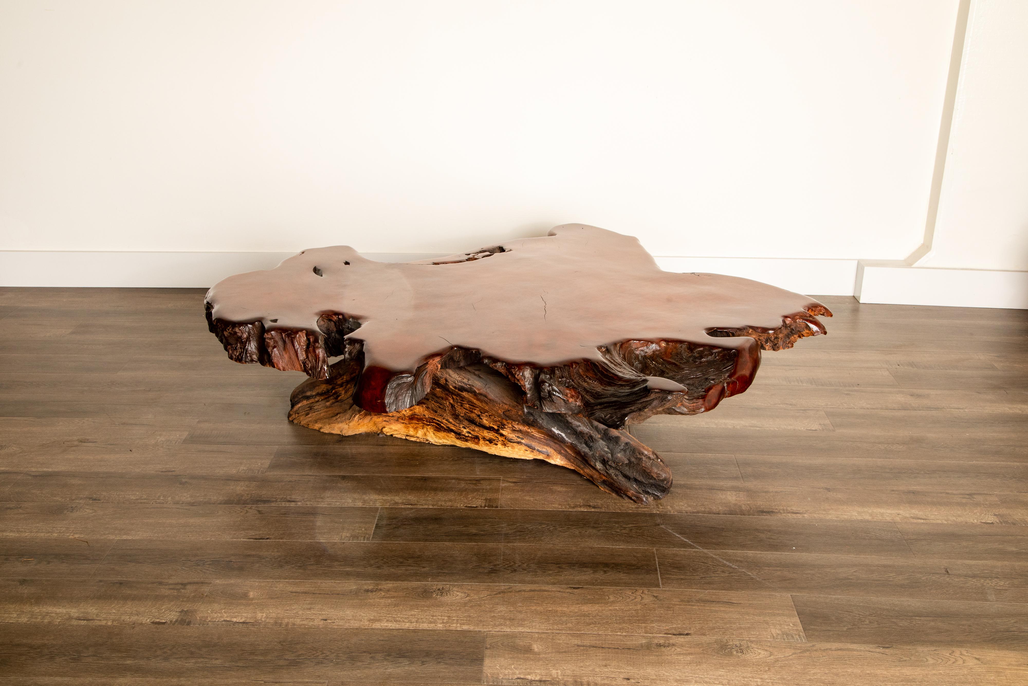 Extraordinary artisan coffee table handcrafted from naturally free-formed burl redwood which has been polished and worked into an impressive occasional table, created by California artist sculptor Daryl Stokes in the 1970s. The naturally twisted