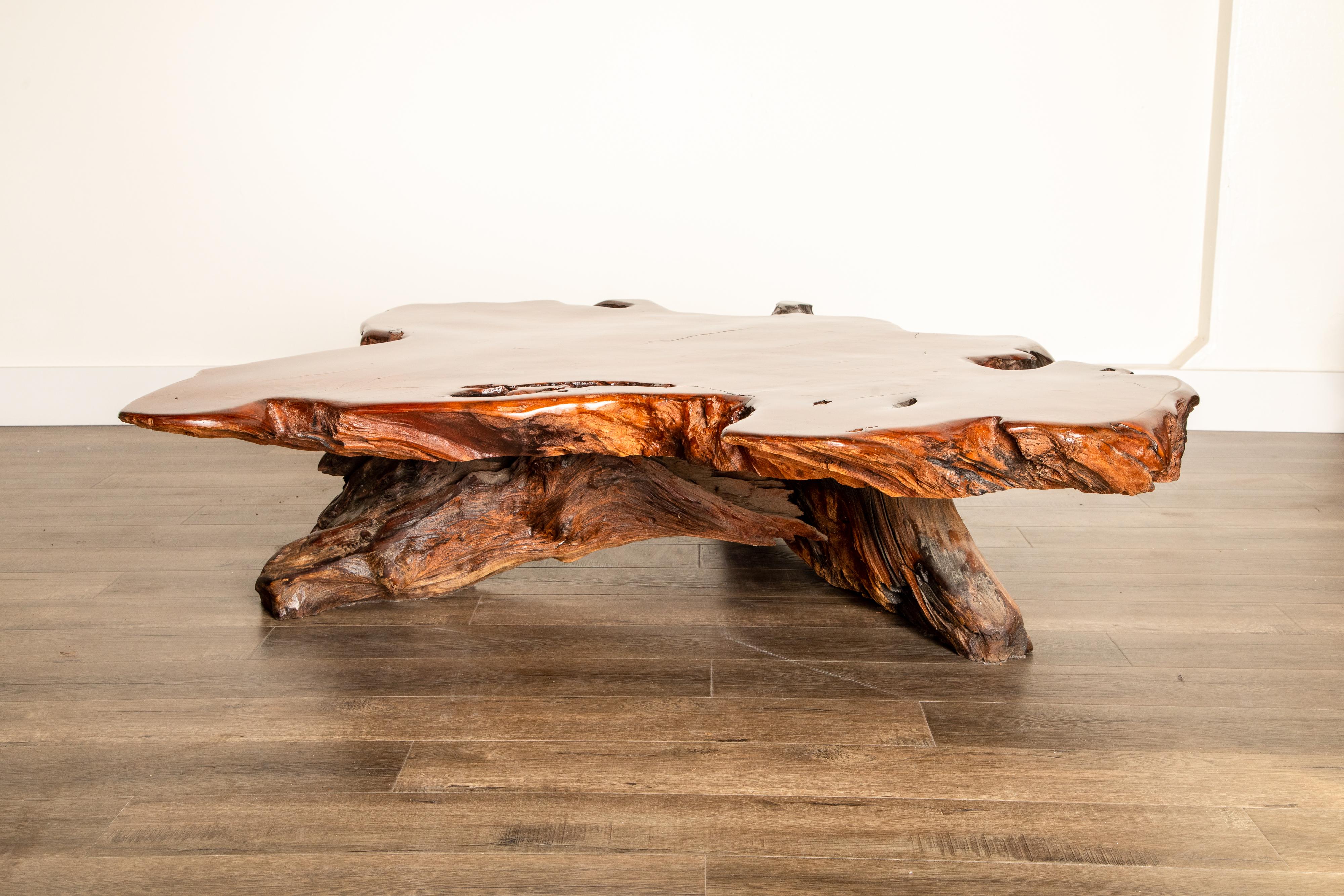 American Handcrafted Freeform Live Slab Burl Redwood Coffee Table by Daryl Stokes, 1970s
