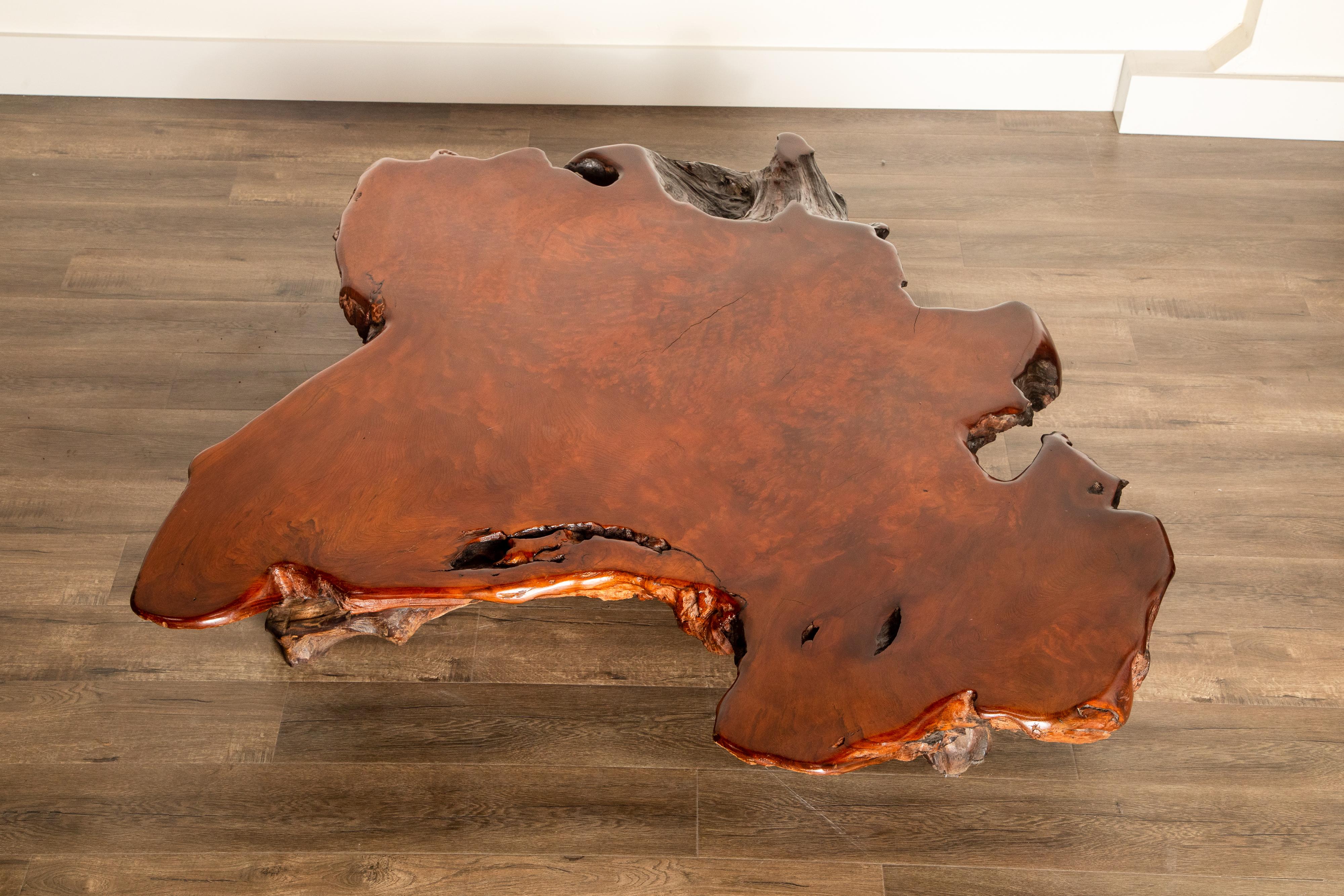 Handcrafted Freeform Live Slab Burl Redwood Coffee Table by Daryl Stokes, 1970s In Good Condition In Los Angeles, CA