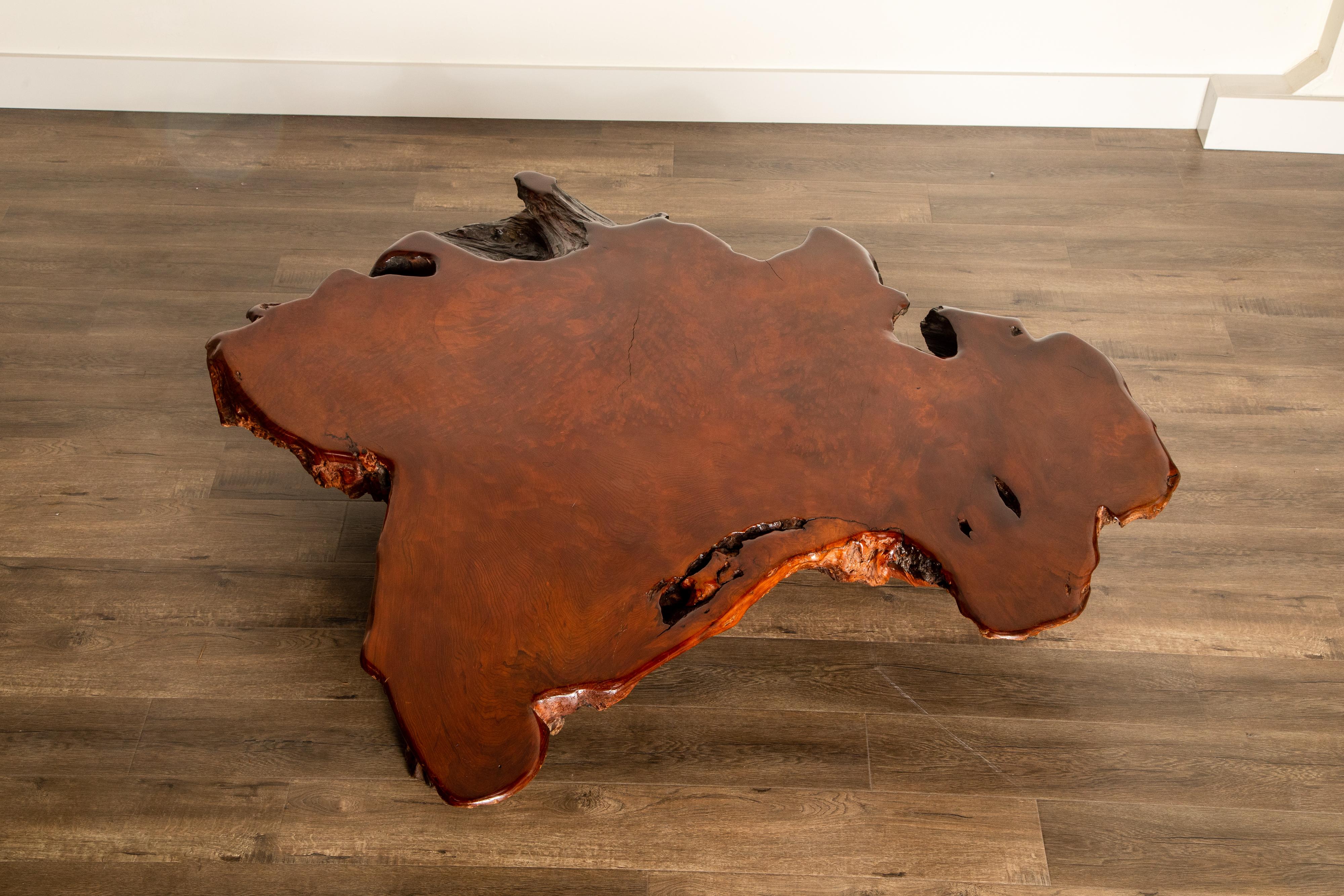 Late 20th Century Handcrafted Freeform Live Slab Burl Redwood Coffee Table by Daryl Stokes, 1970s